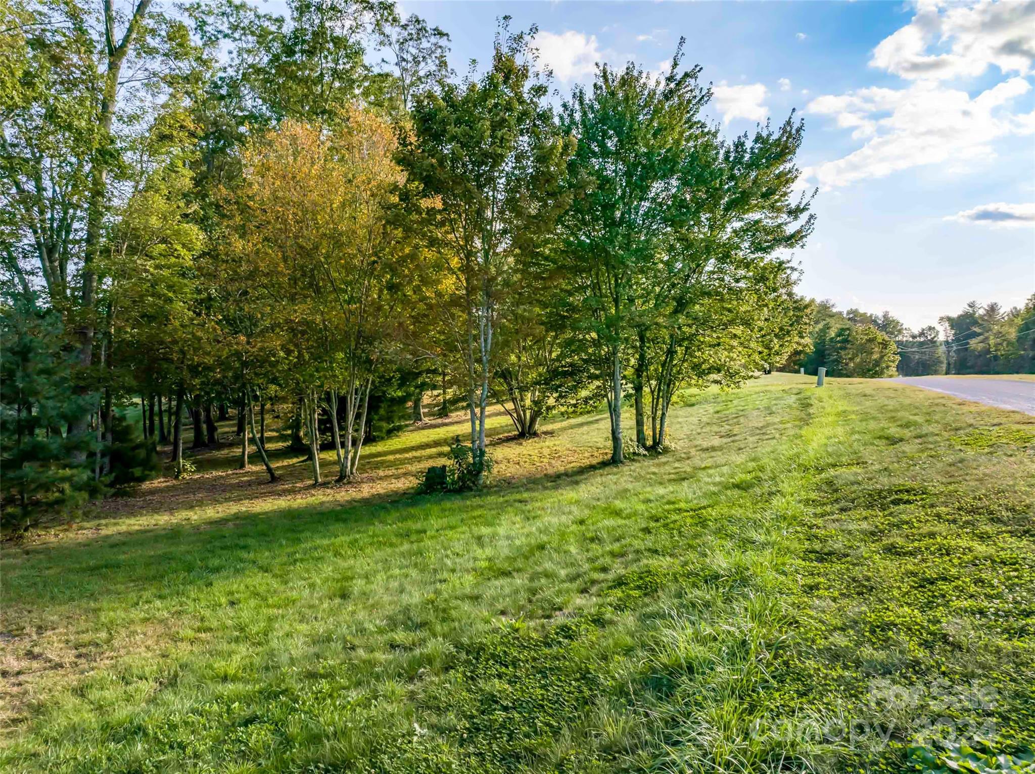 The Farm At Cane Creek - Land