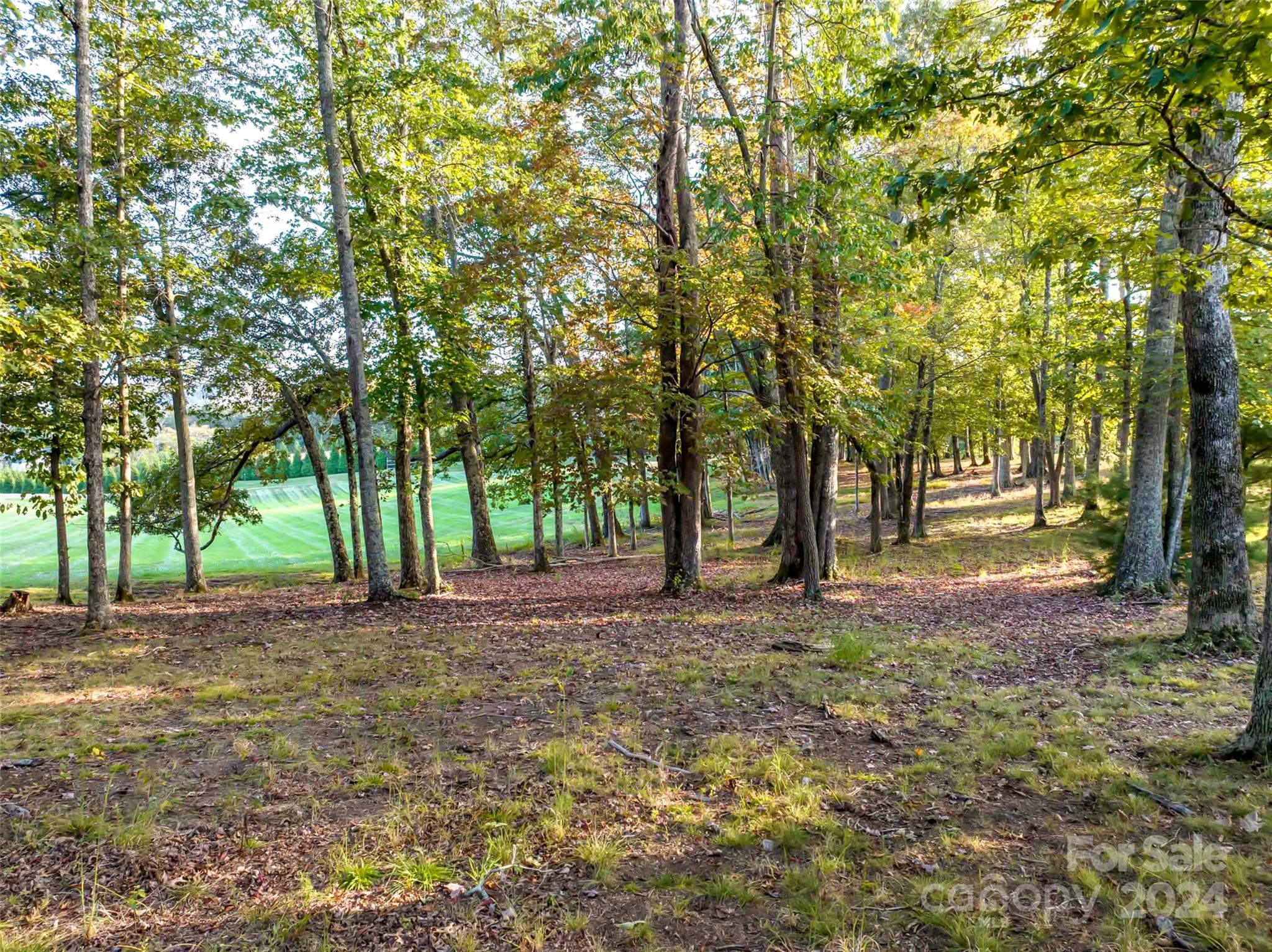The Farm At Cane Creek - Land