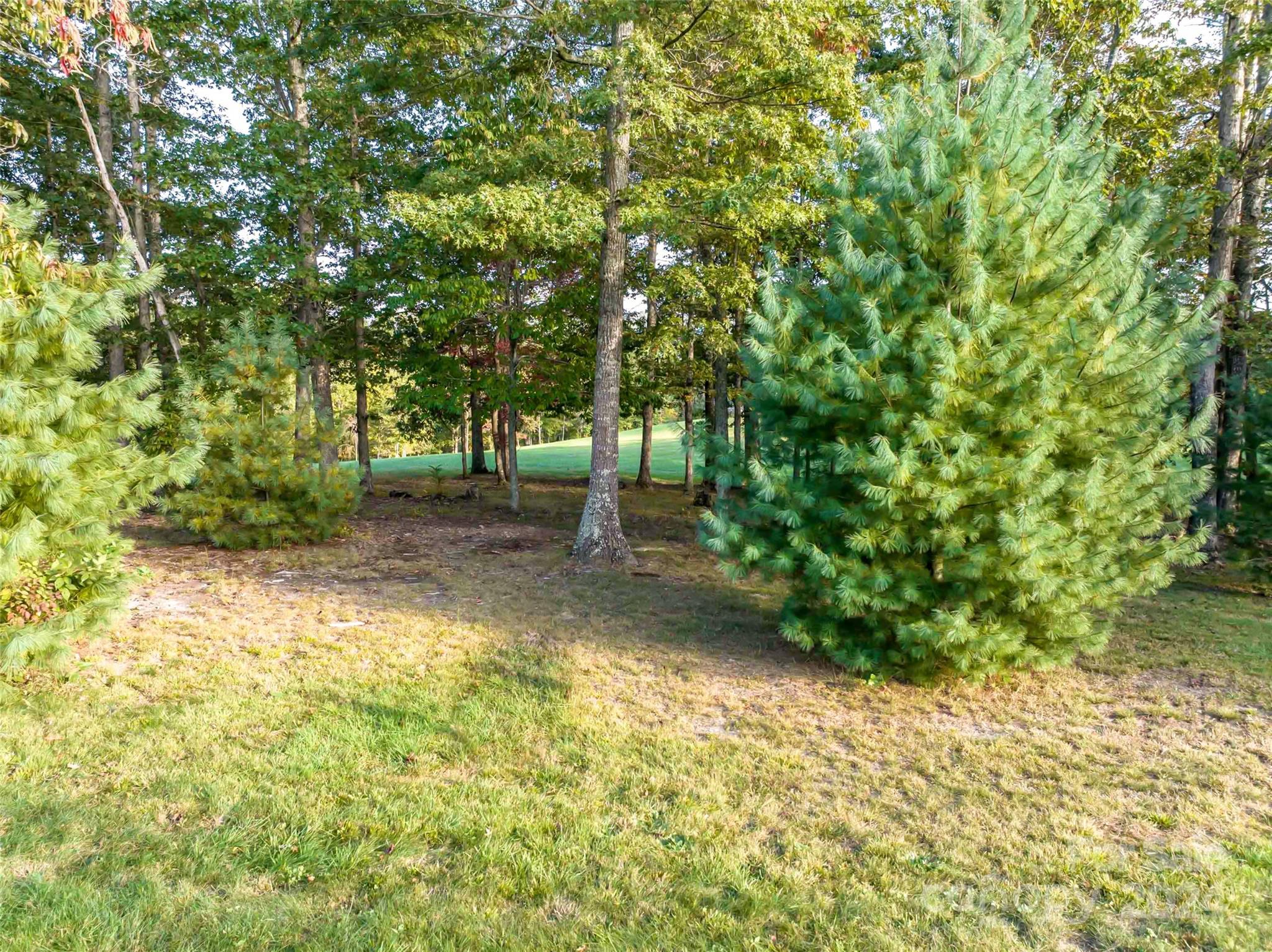 The Farm At Cane Creek - Land