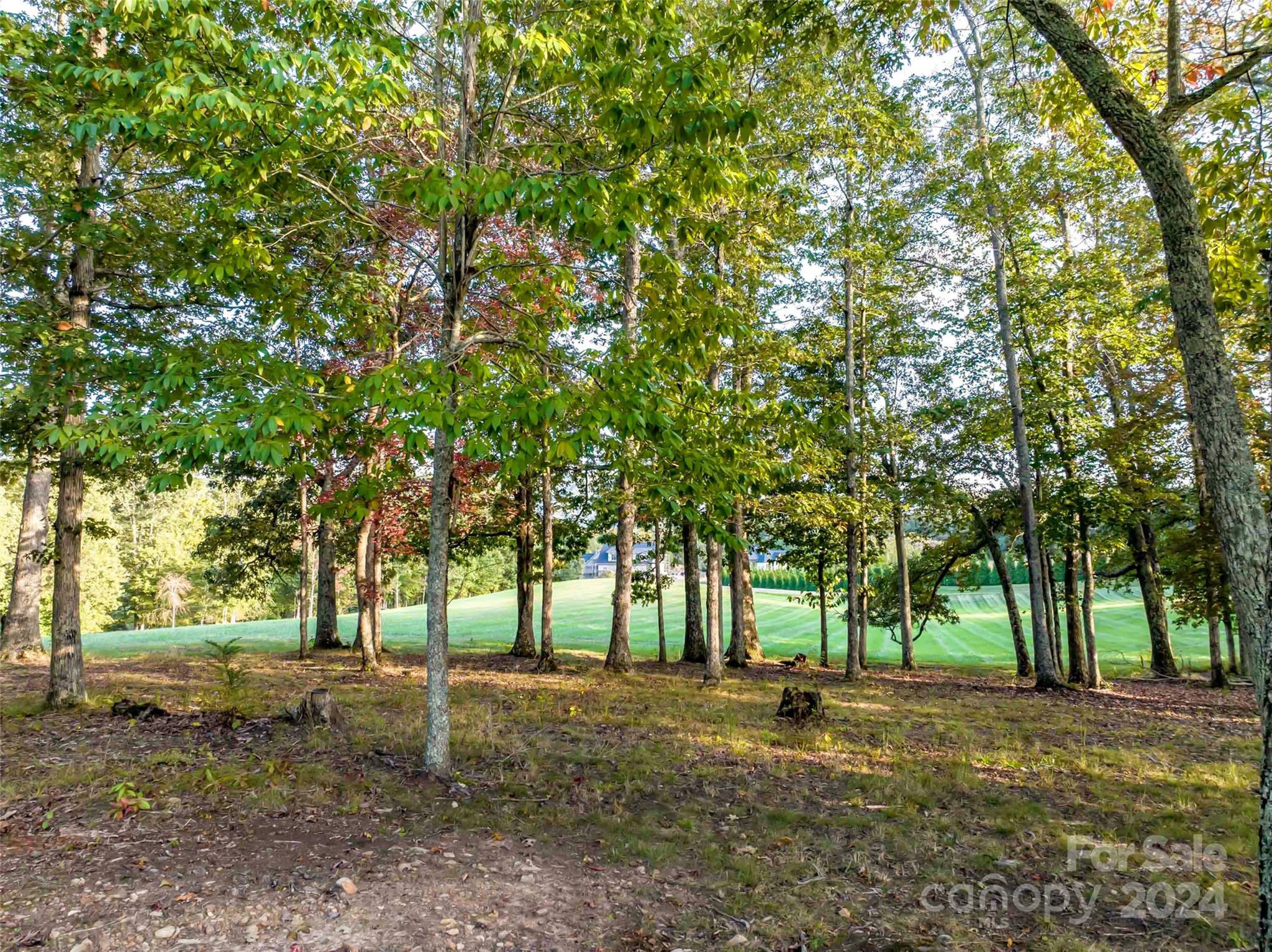 The Farm At Cane Creek - Land