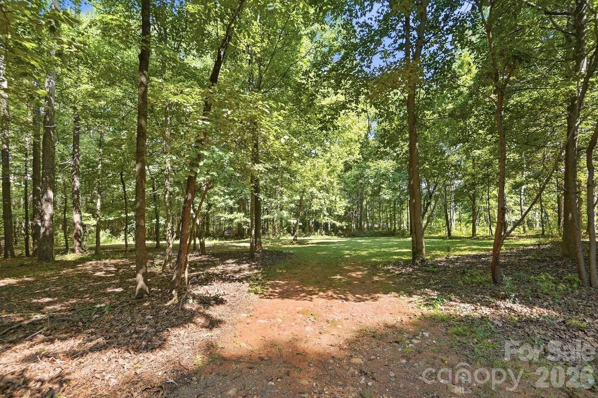 Polk Mountain Plantation - Residential