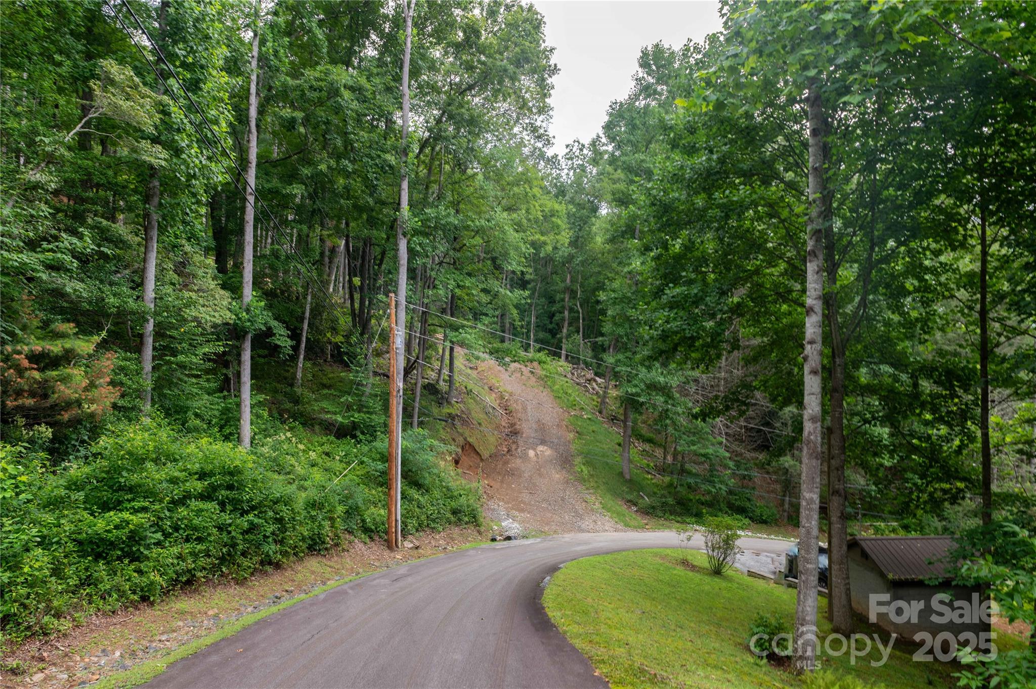 Mount Mitchell Lands - Land