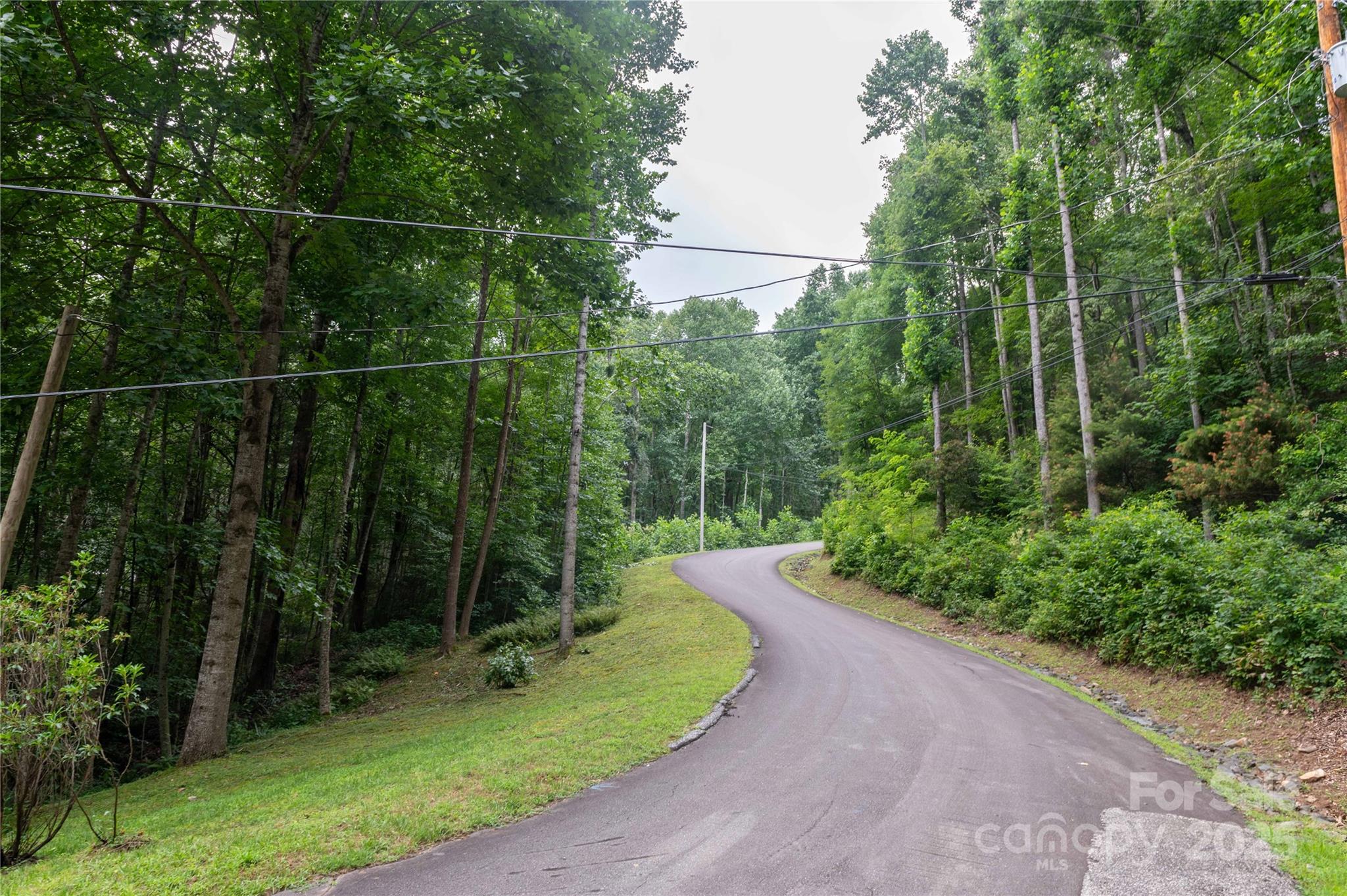 Mount Mitchell Lands - Land