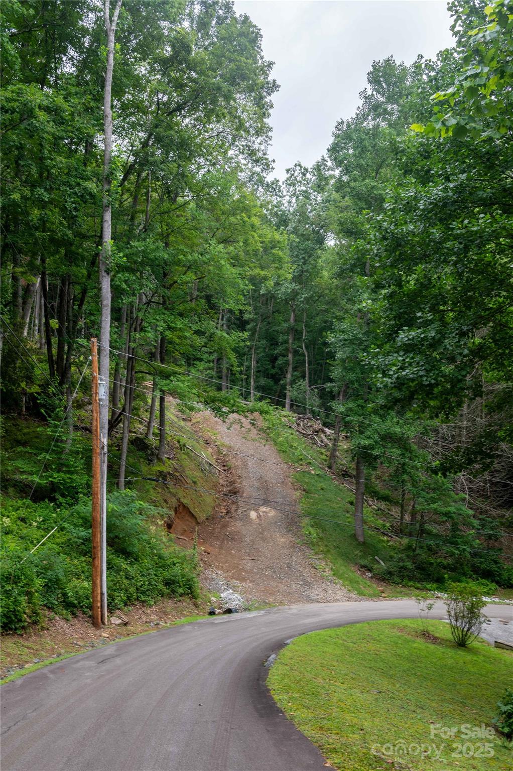 Mount Mitchell Lands - Land