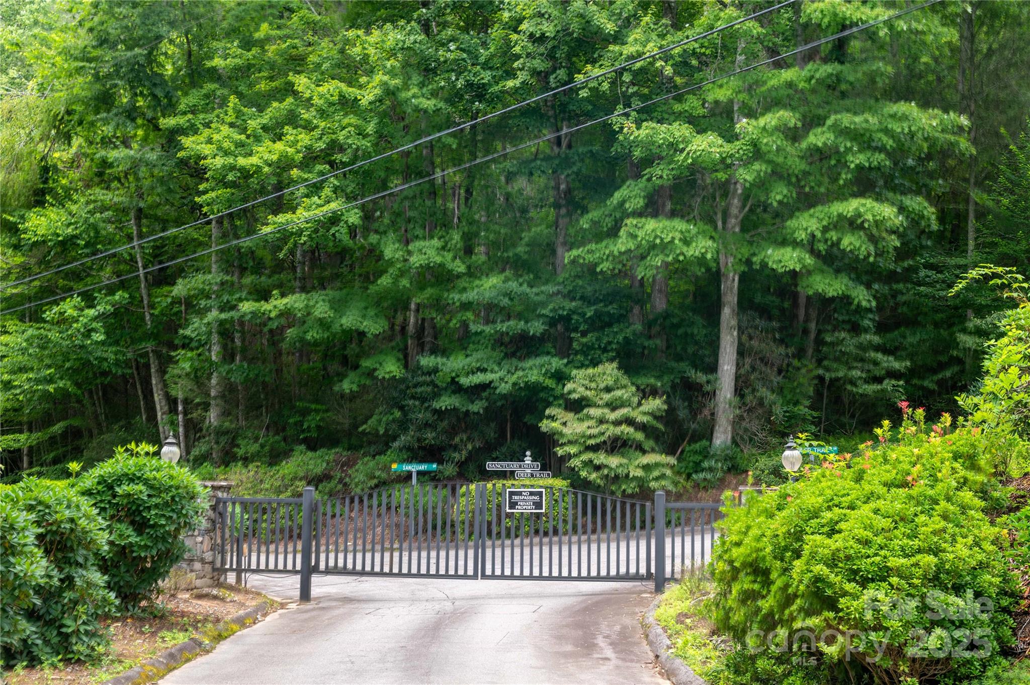 Mount Mitchell Lands - Land