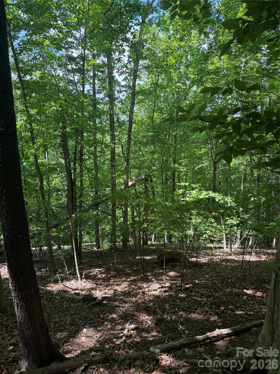 Clearwater Creek - Land
