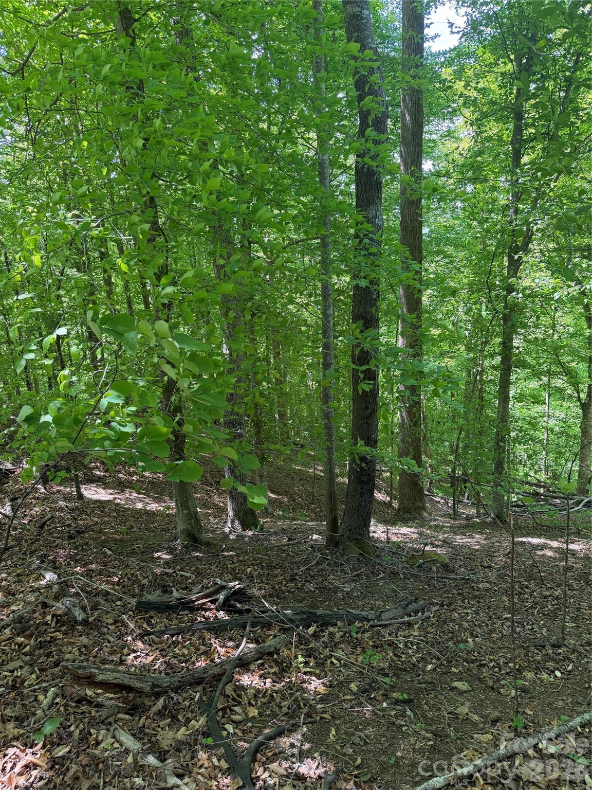Discover the perfect opportunity to build your dream home on this 3.35-acre vacant lot in the desirable Clearwater Creek Community. This beautifully sloped property offers unique character and the potential for stunning mountain views with the right build.

With possible ingress and egress access points, you have flexibility in planning your driveway and home placement. Whether you're looking for a private retreat or a scenic getaway, this lot provides the space and setting to bring your vision to life.

Enjoy the peace of nature while still being within reach of nearby conveniences. Don’t miss your chance to own a piece of land with incredible potential!