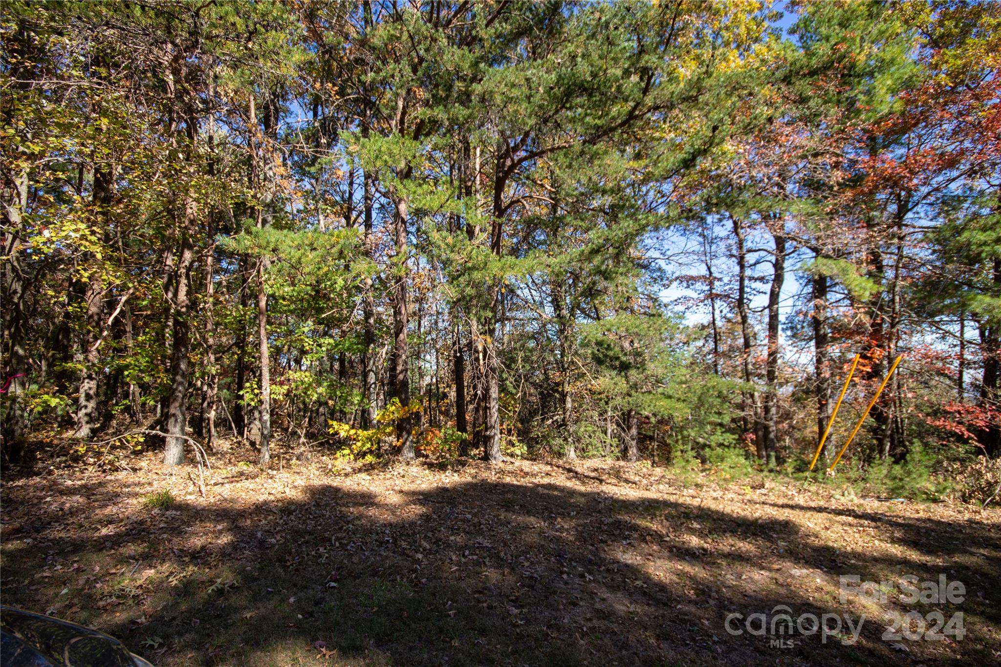 Pine Mountain Lakes - Land