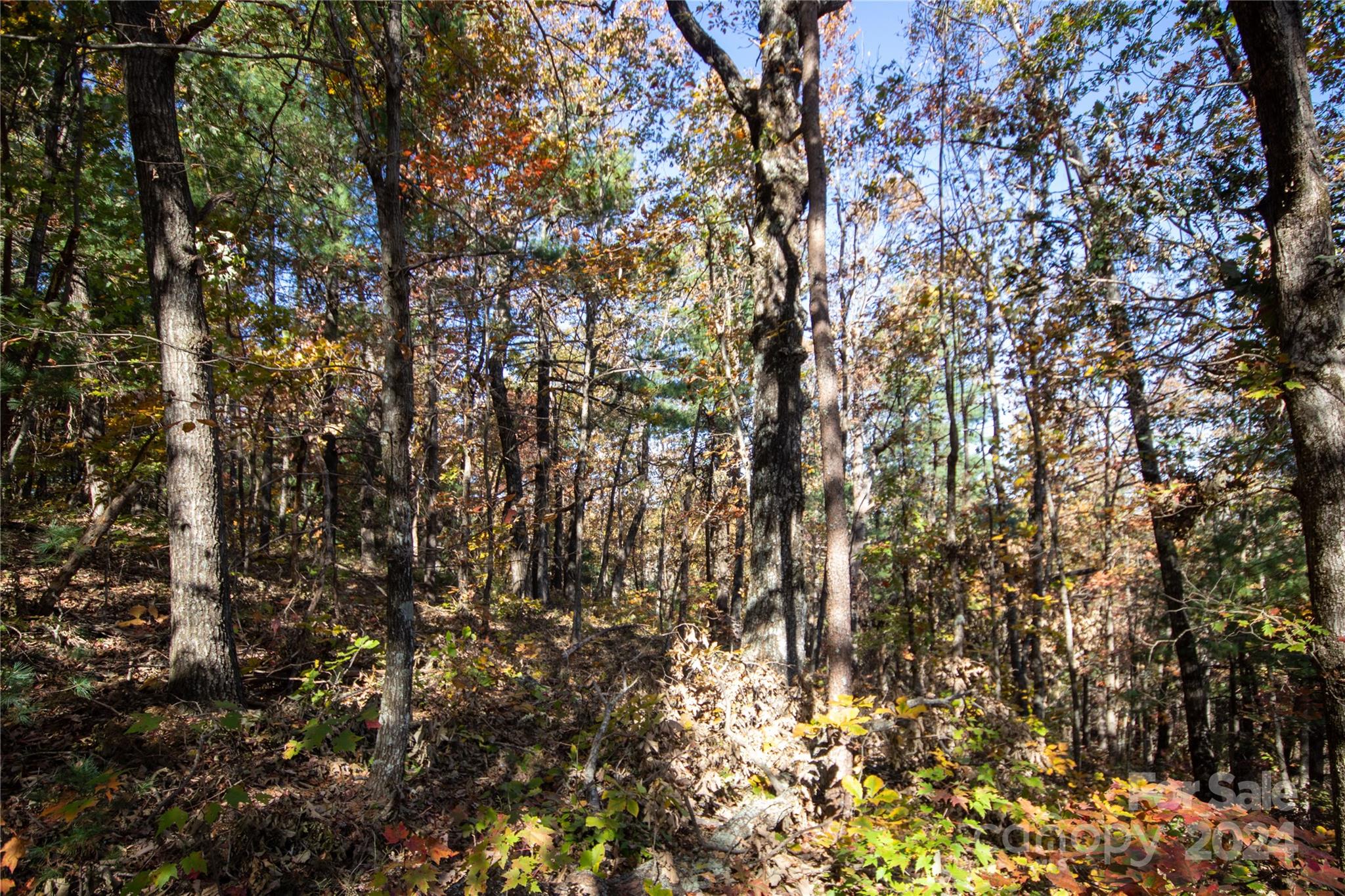 Pine Mountain Lakes - Land