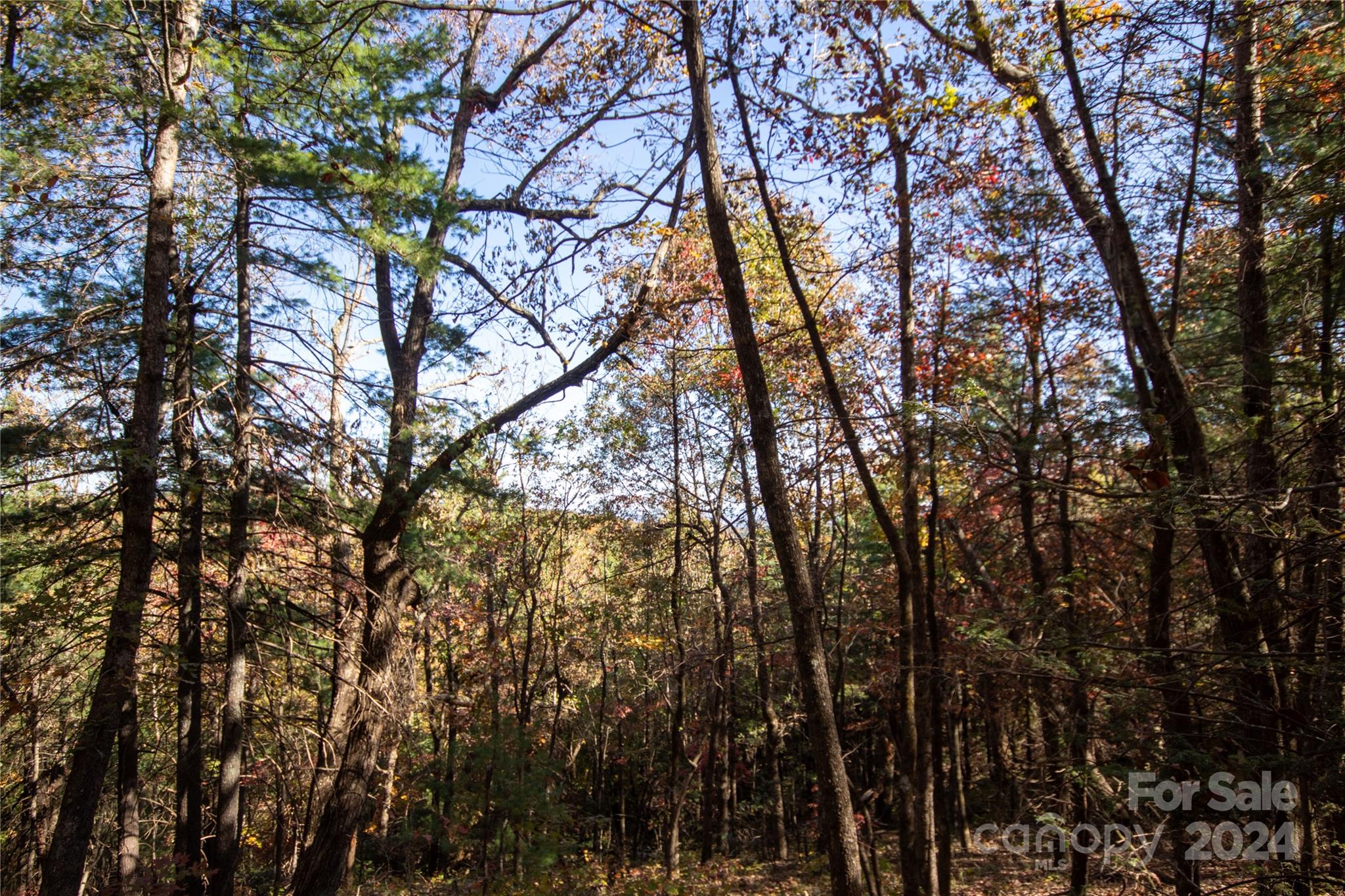 Pine Mountain Lakes - Land