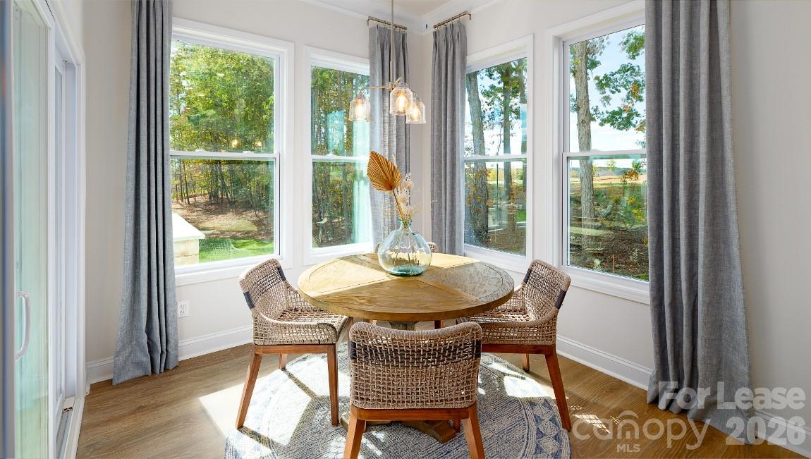 Avondale - Residential Lease