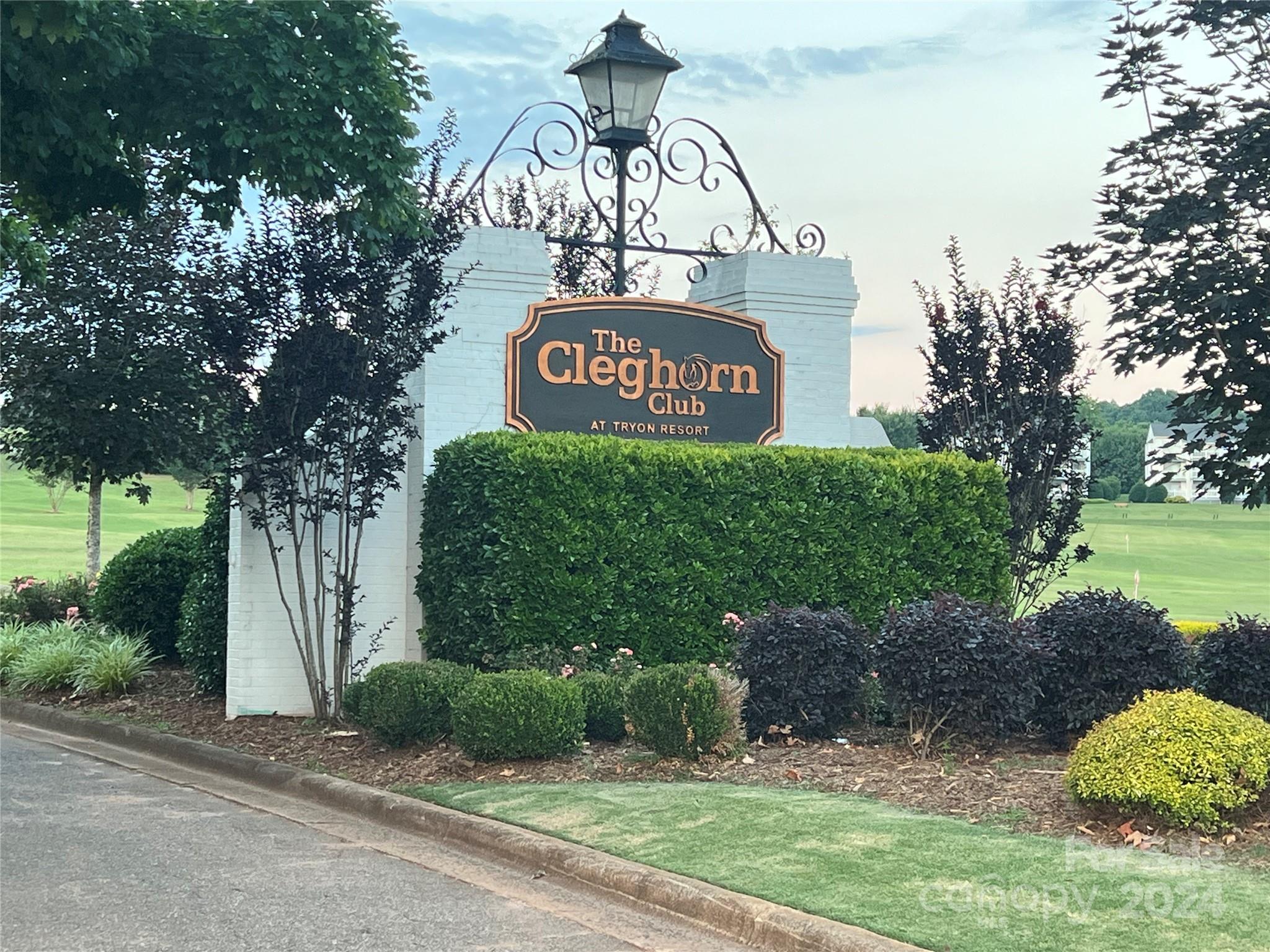 Moss Drive at Cleghorn - Land