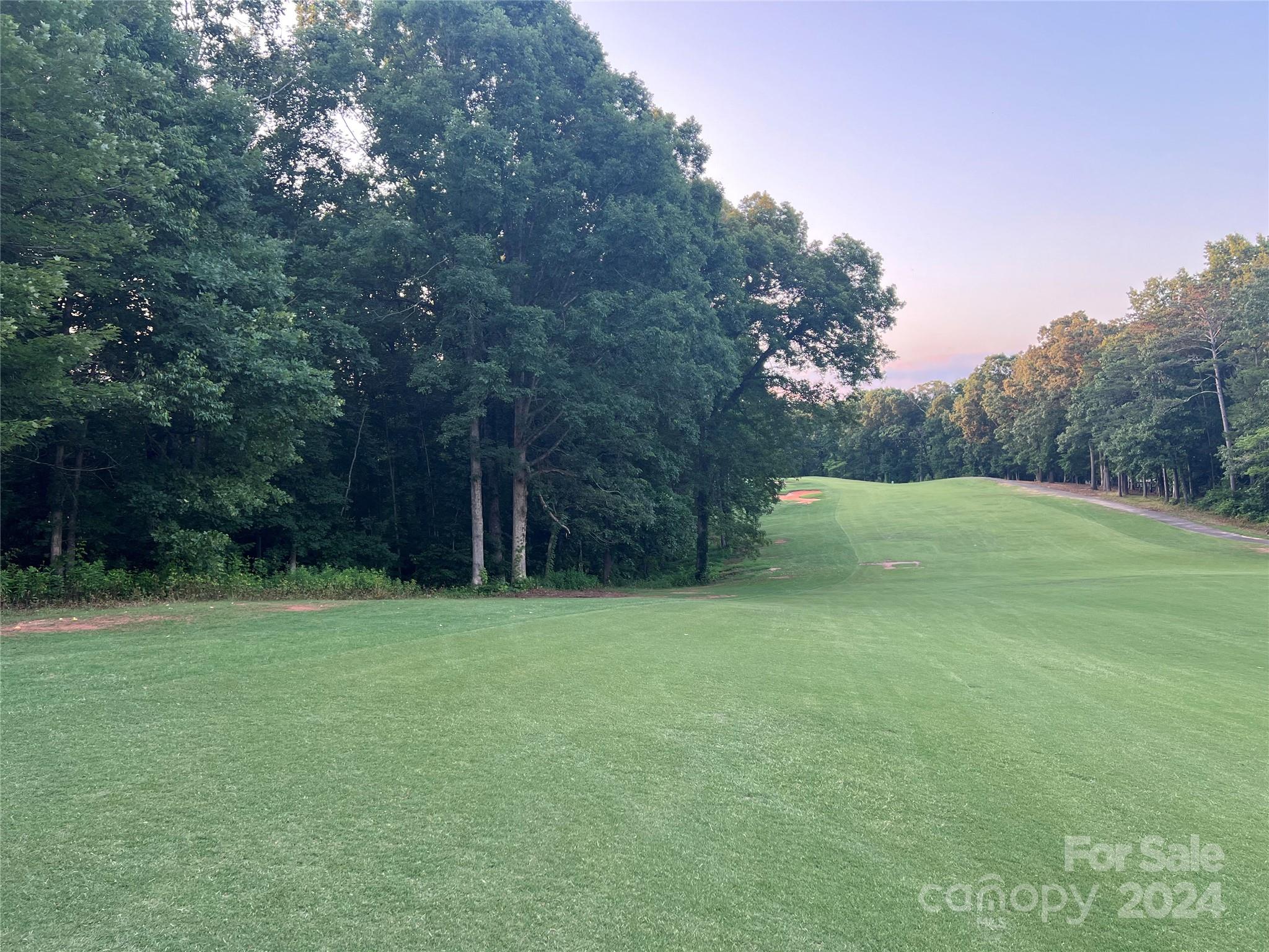 Moss Drive at Cleghorn - Land
