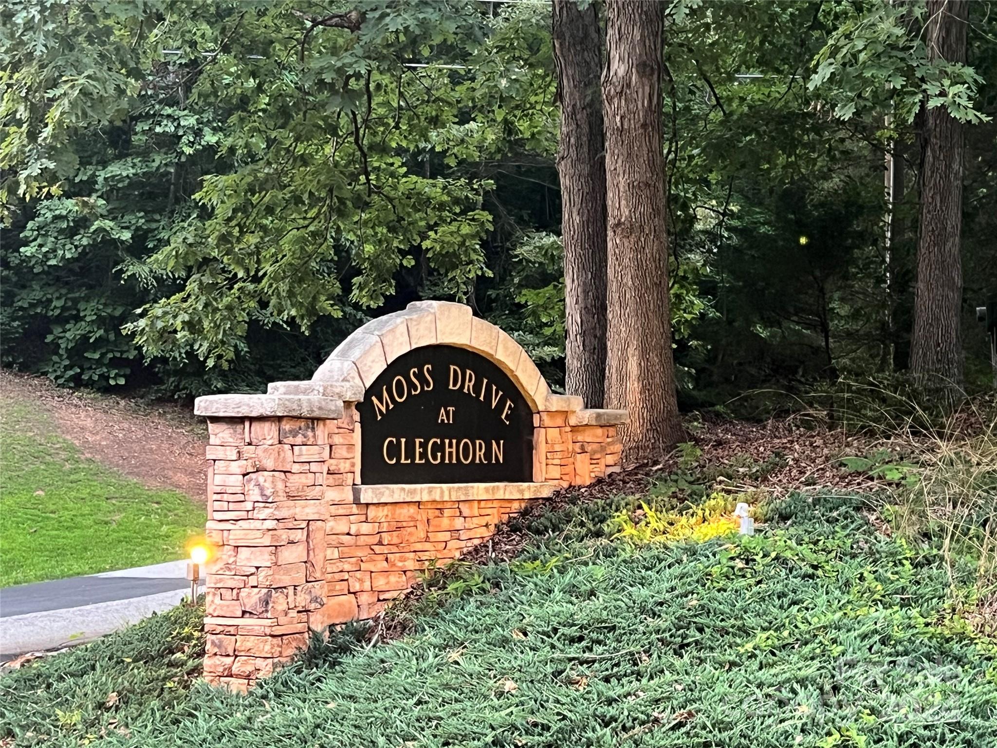 Moss Drive at Cleghorn - Land