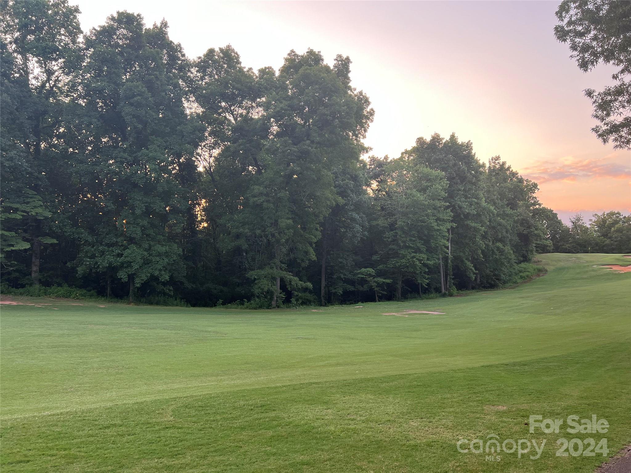 Moss Drive at Cleghorn - Land