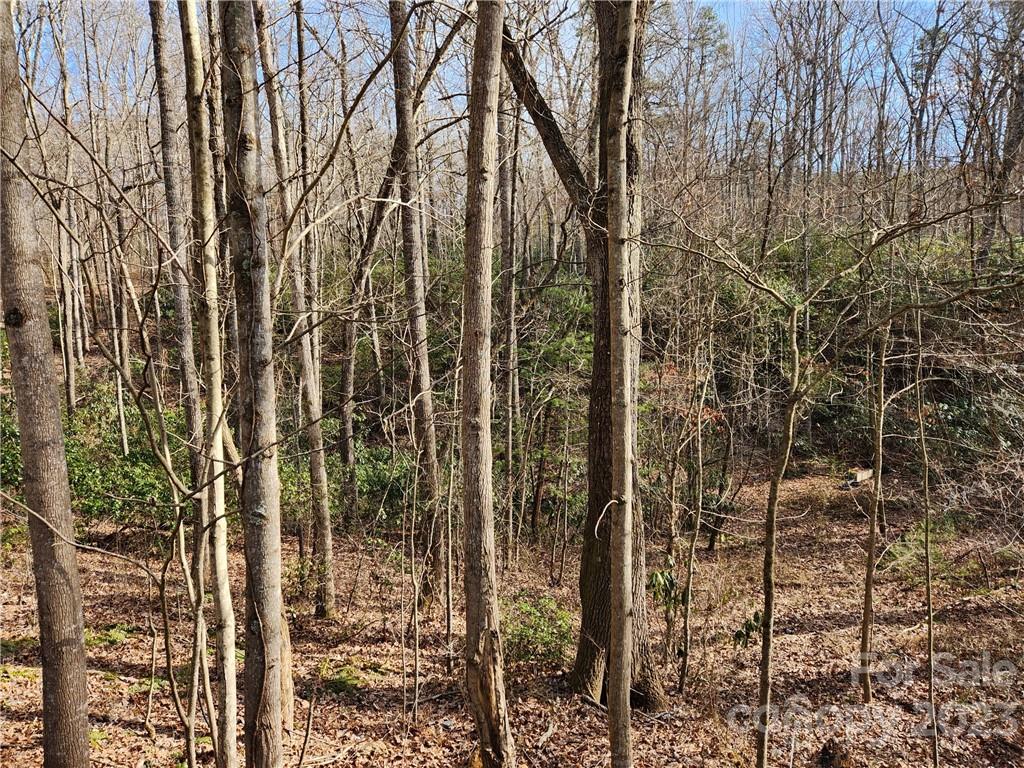 1.33 acre lot with a small creek down the middle in desirable Candler. Wooded and sloping, and full of wildlife. No restrictions found, but buyers should do due diligence on water availability and restrictions. Take Plats and Survey in attachments on your showing. Property is across from #139 Bennett Rd. This property was taken off the market for a short time until an updated survey was obtained. Property might be suitable for a couple of tiny homes or short term retnals. See attachment.