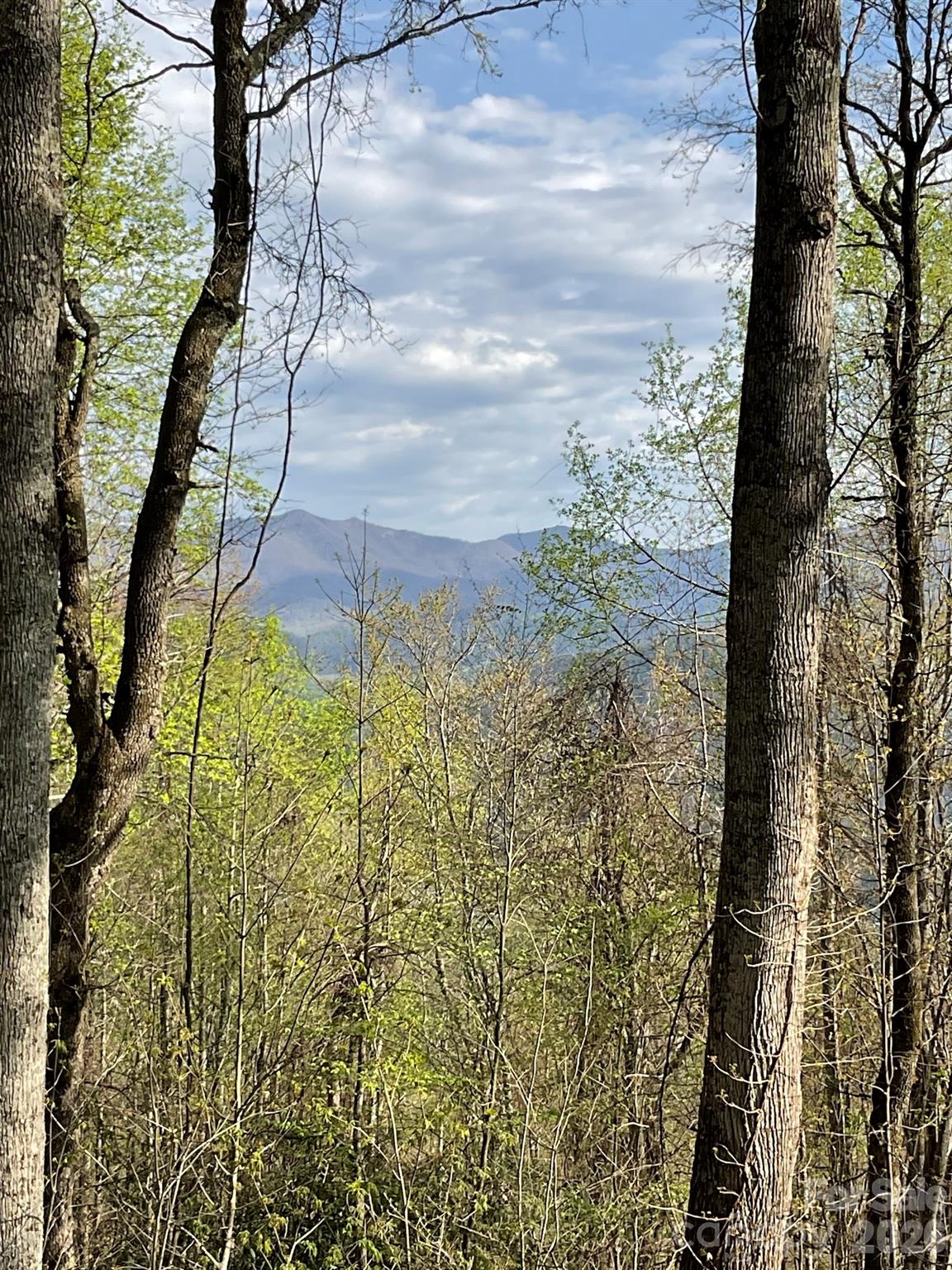 High Hickory - Land