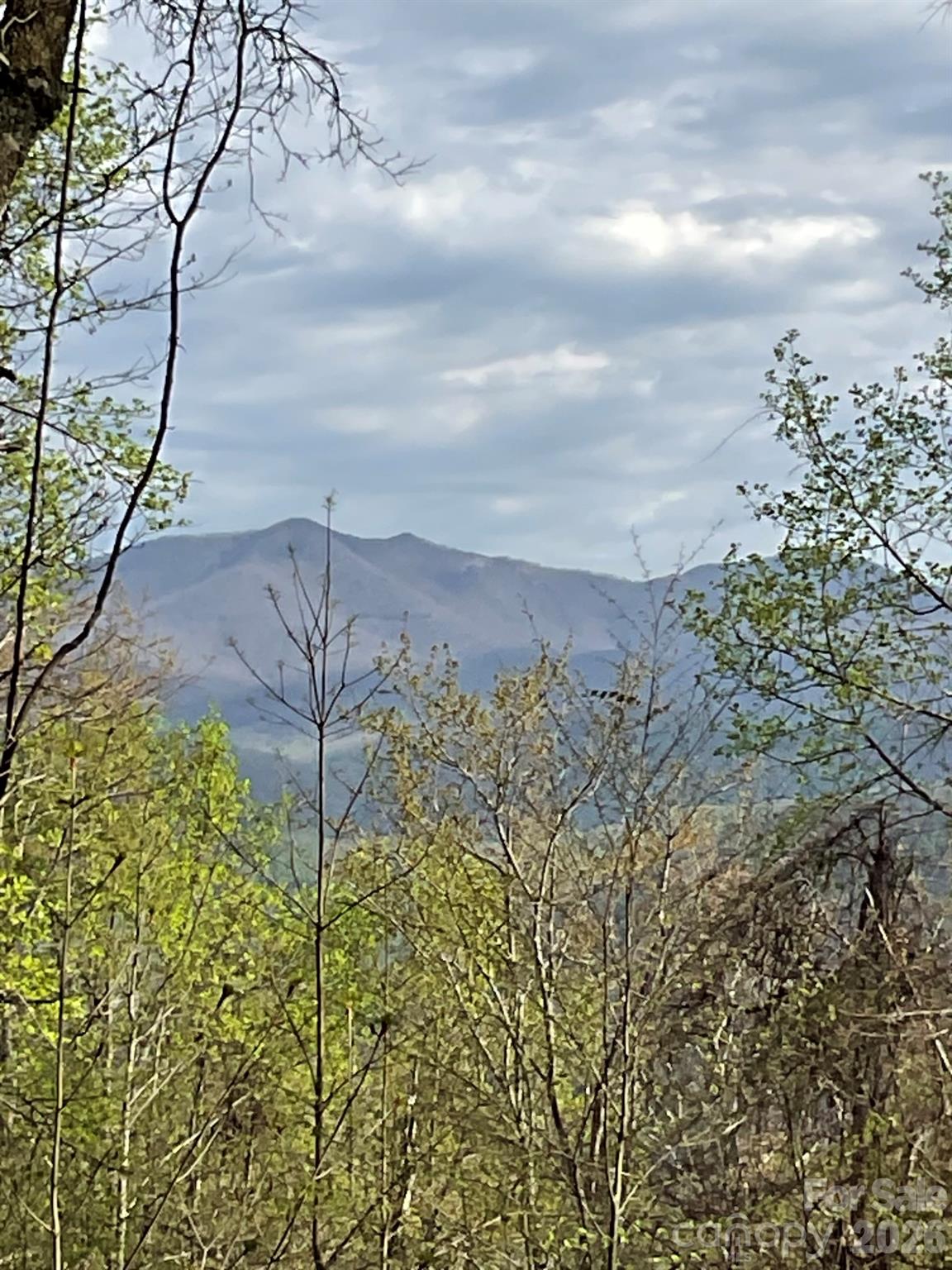 High Hickory - Land