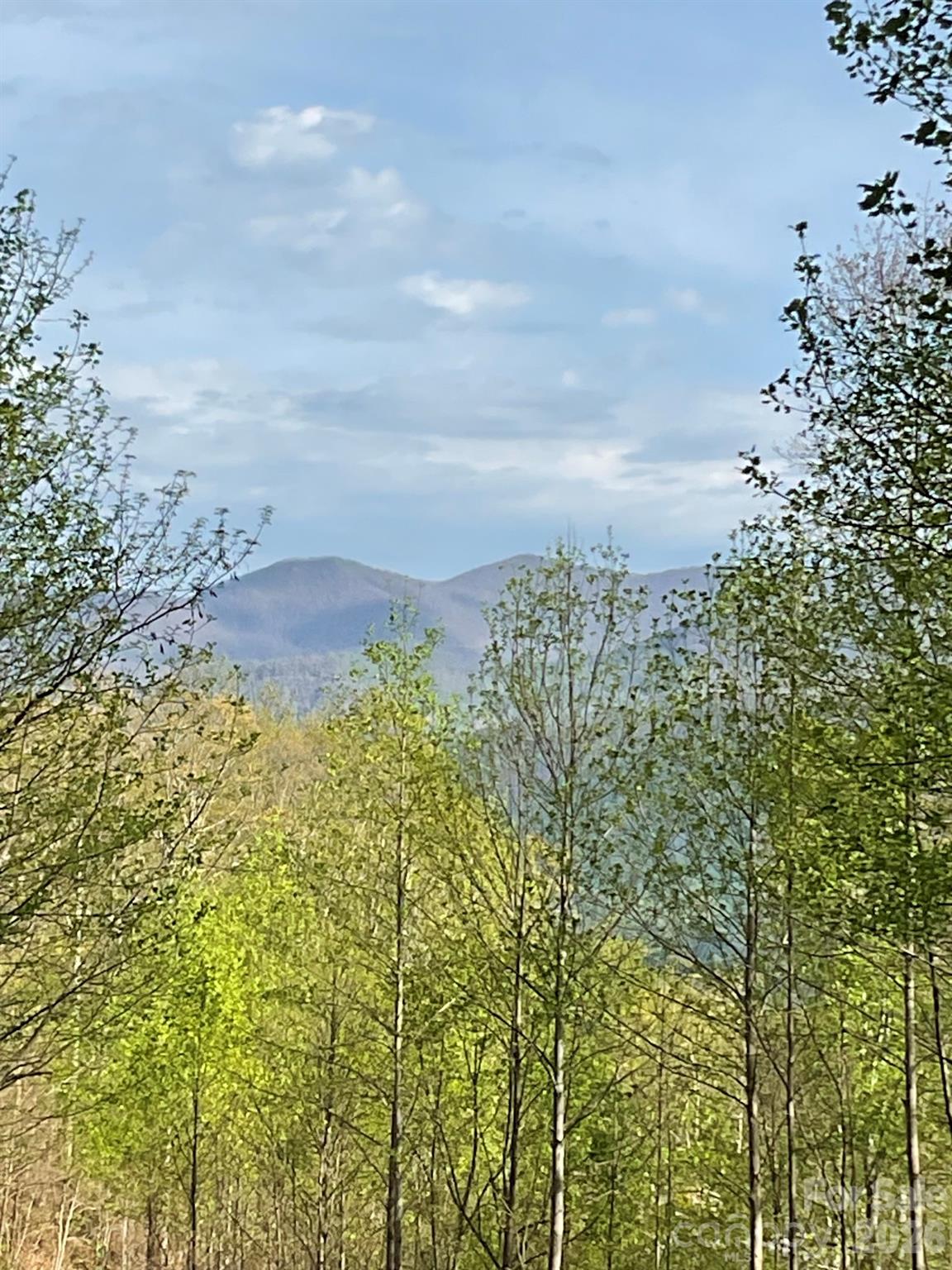 High Hickory - Land