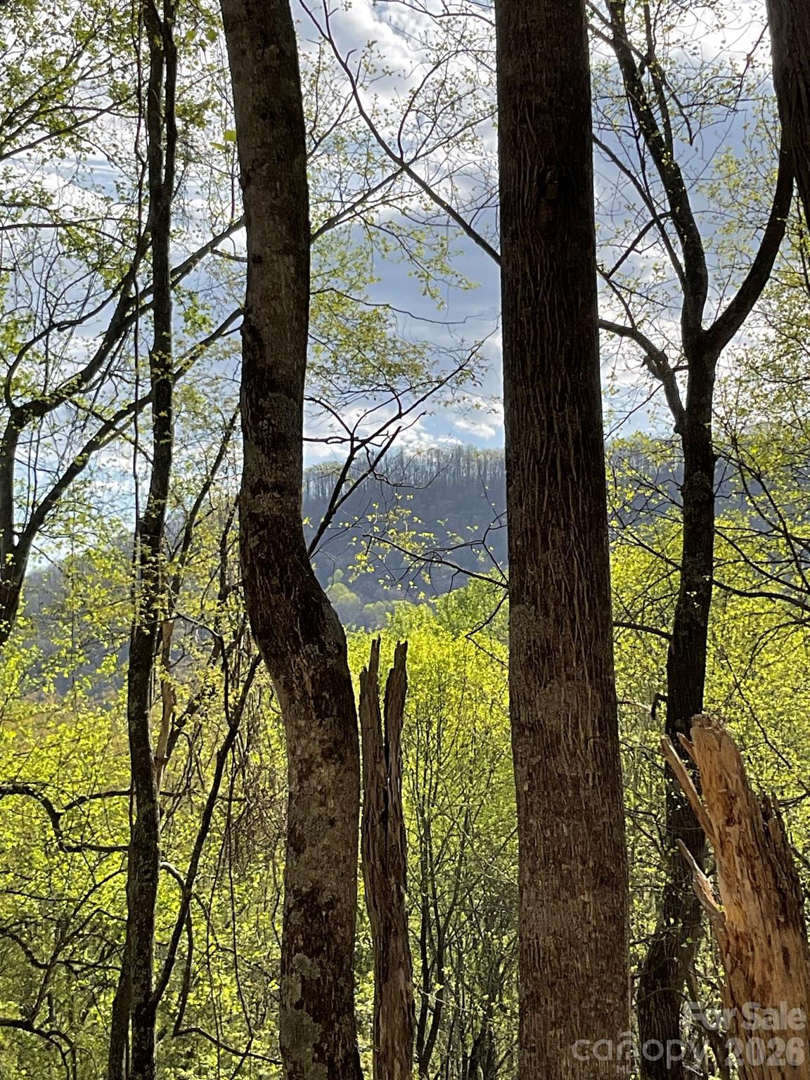 High Hickory - Land