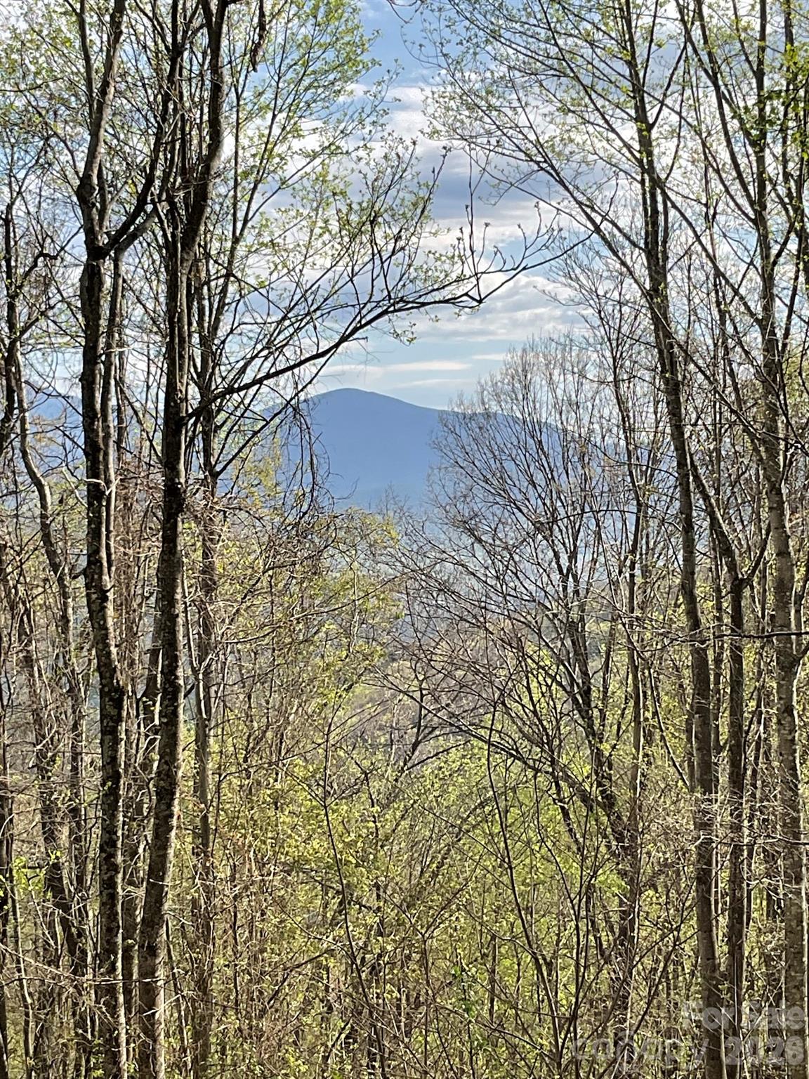 High Hickory - Land