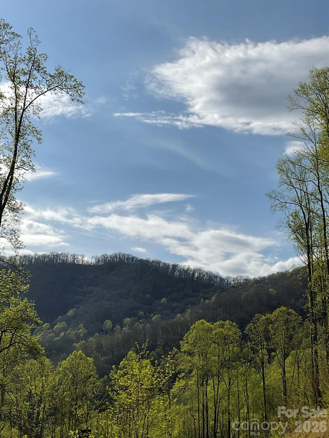 High Hickory - Land