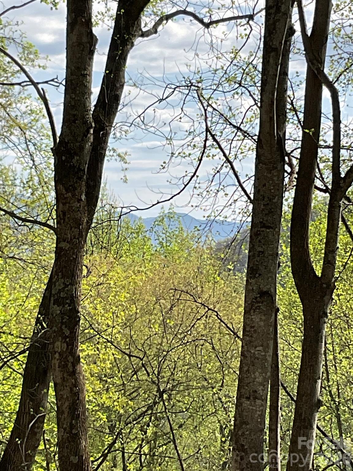 High Hickory - Land