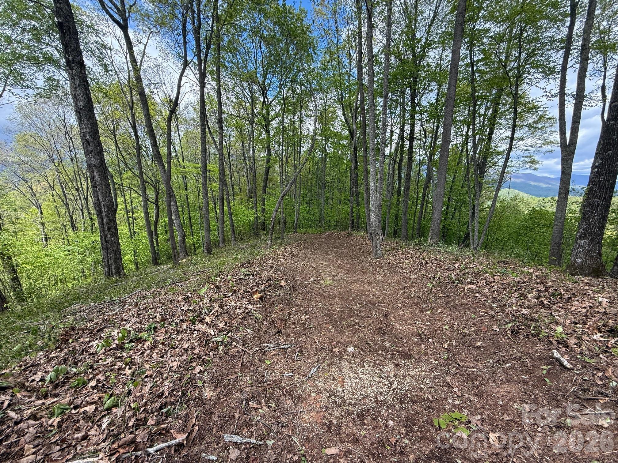 Balsam Mountain Preserve - Land