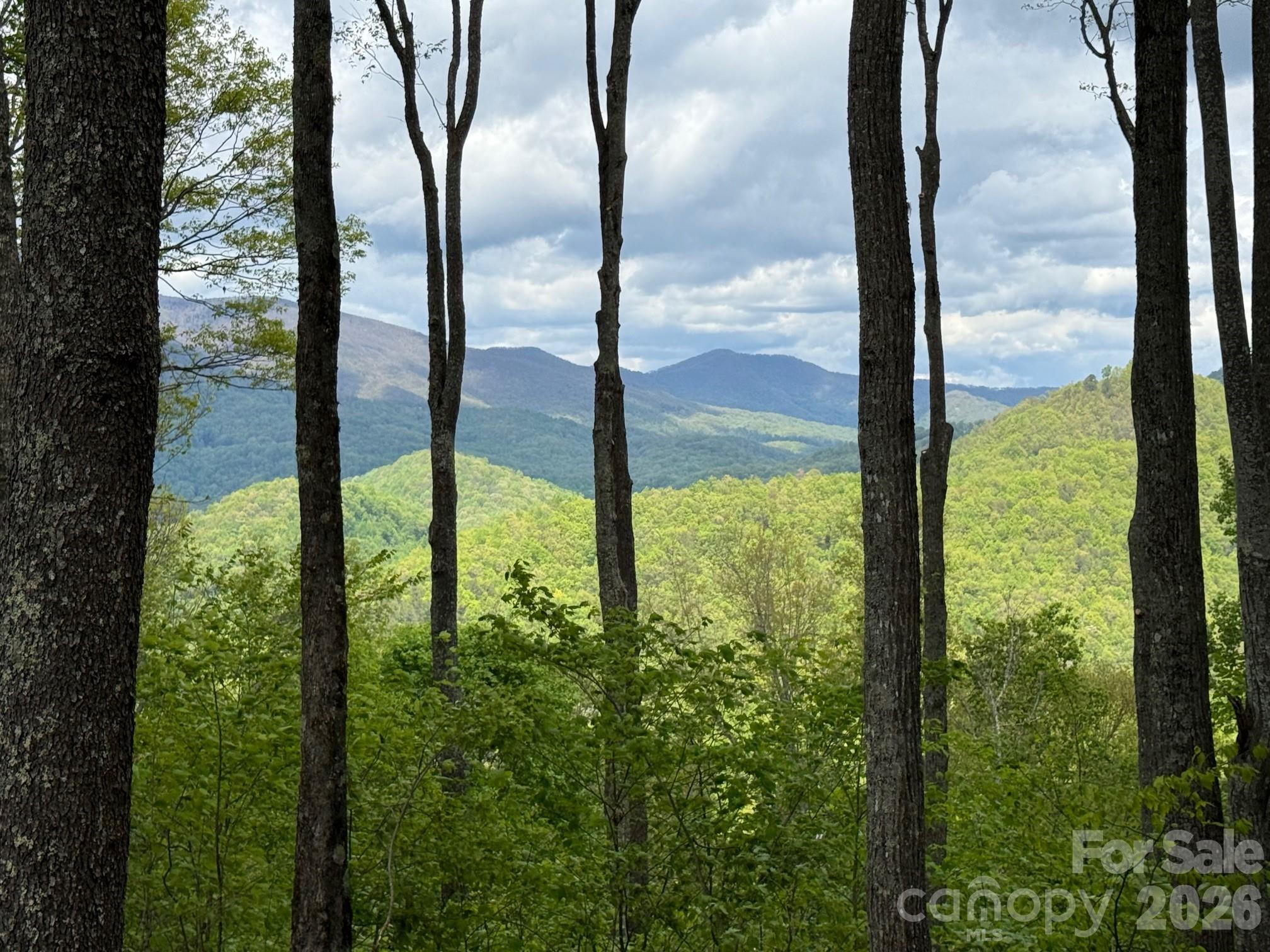 Balsam Mountain Preserve - Land