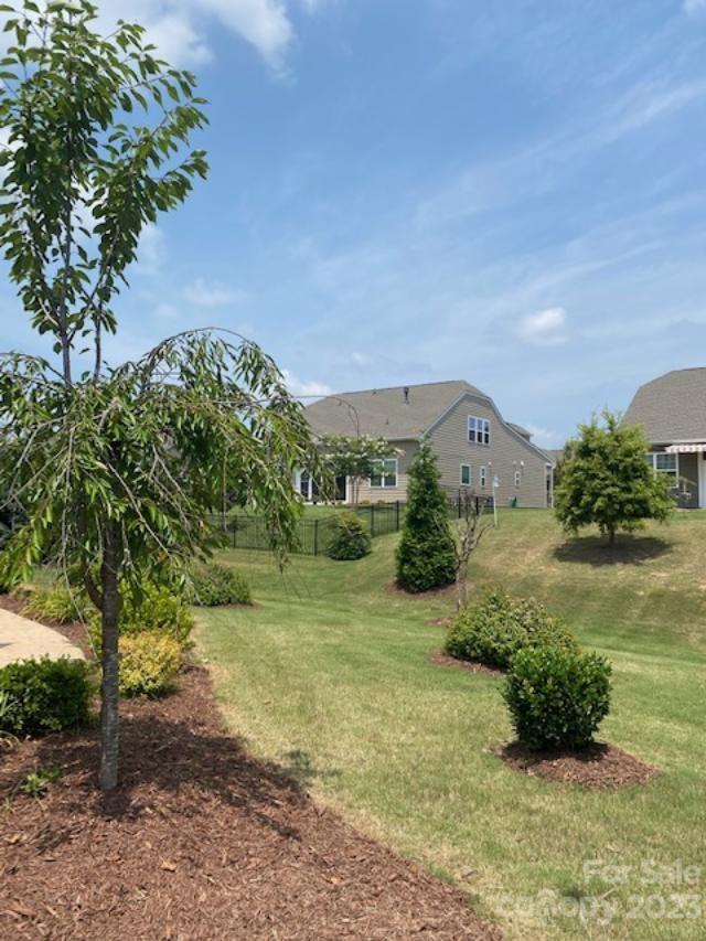 Tree Tops - Residential