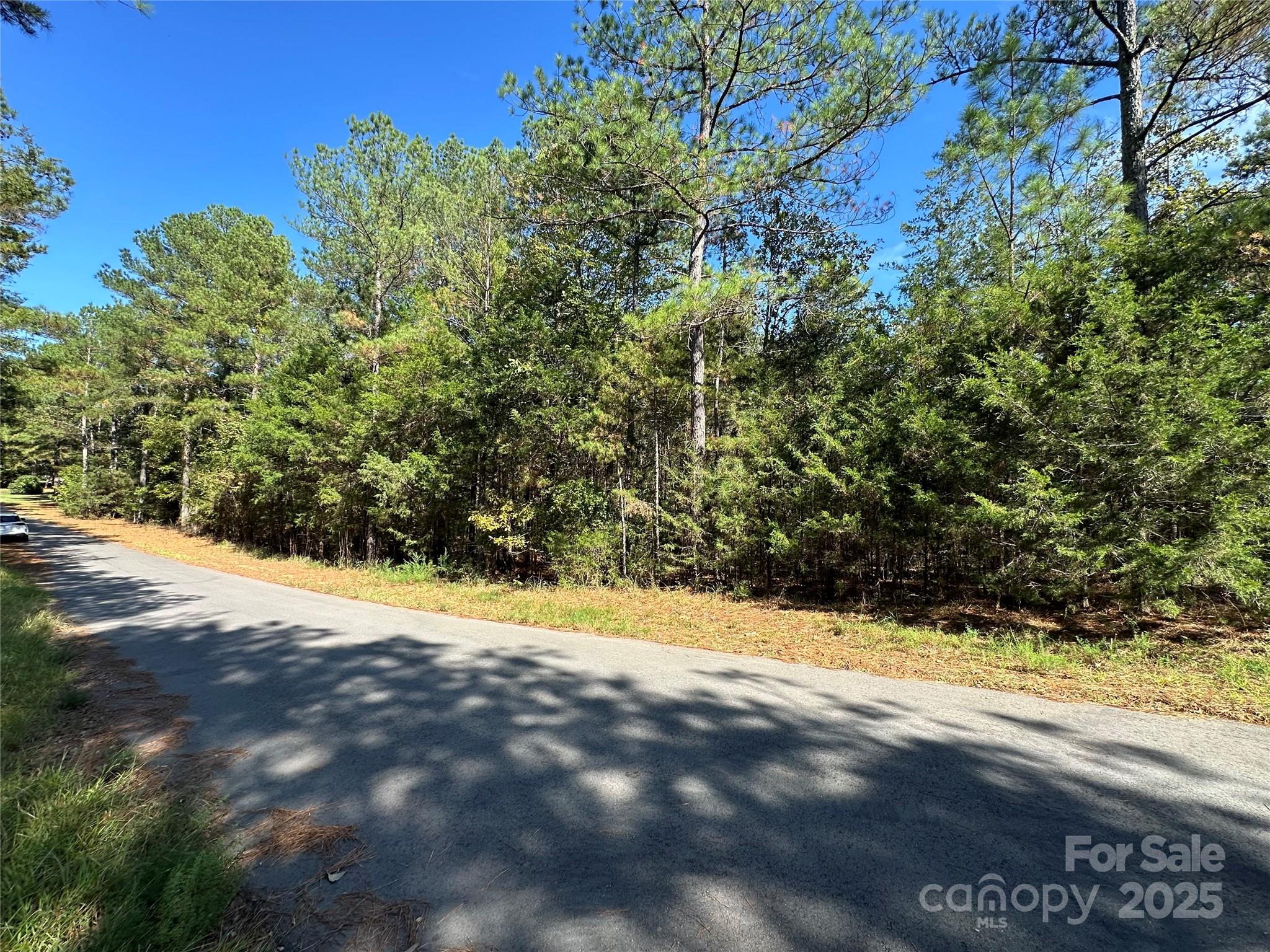 Discover the potential of this (+/-).442-acre wooded lot on Lanksford Drive in Fort Lawn. This untouched parcel offers a private, natural setting, ideal for building. Enjoy the serenity of a quiet, wooded backdrop while still being just a short drive from local amenities and major roadways. With privacy, natural beauty, and convenient access, this property provides the perfect balance of seclusion and accessibility for your next project
