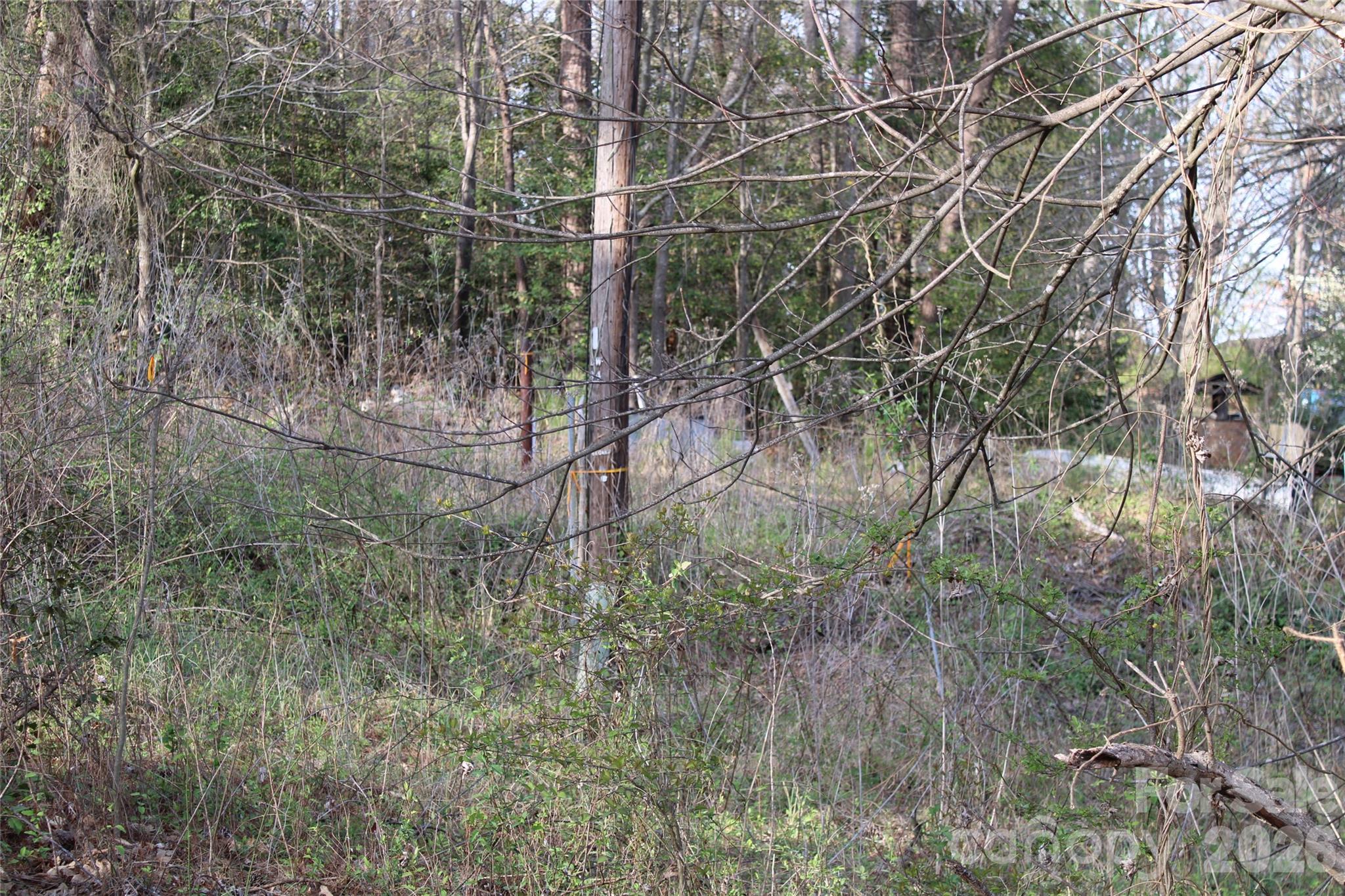 Caldwell Acres - Land