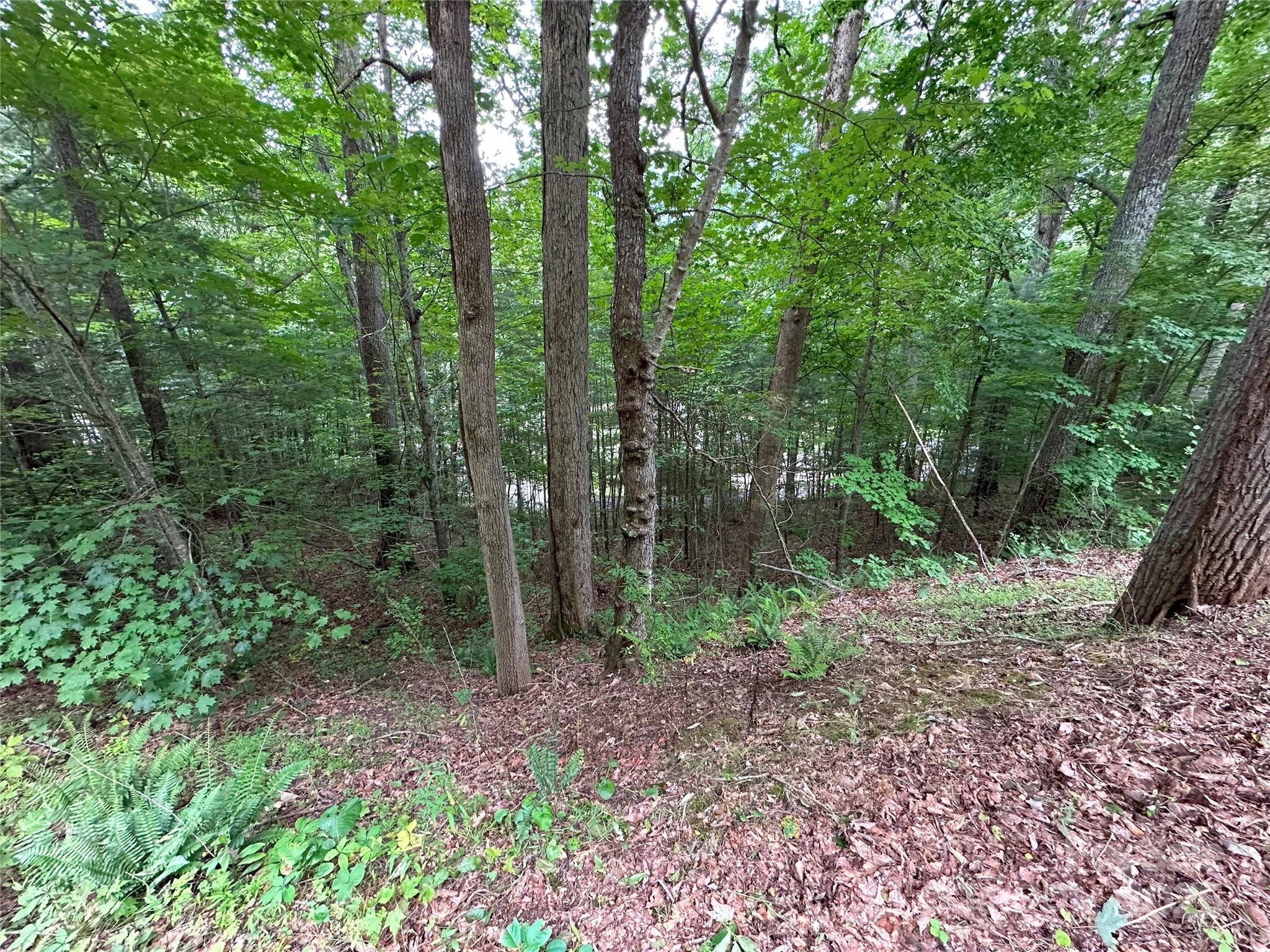 Quail Ridge - Land
