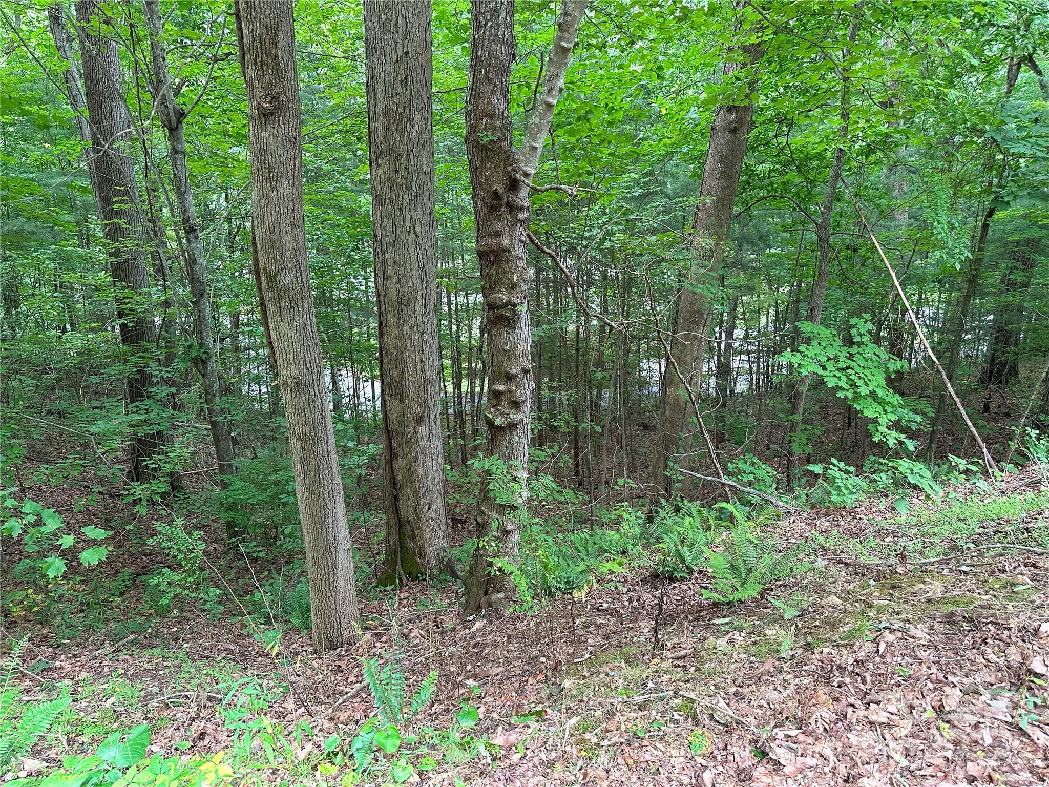 Quail Ridge - Land