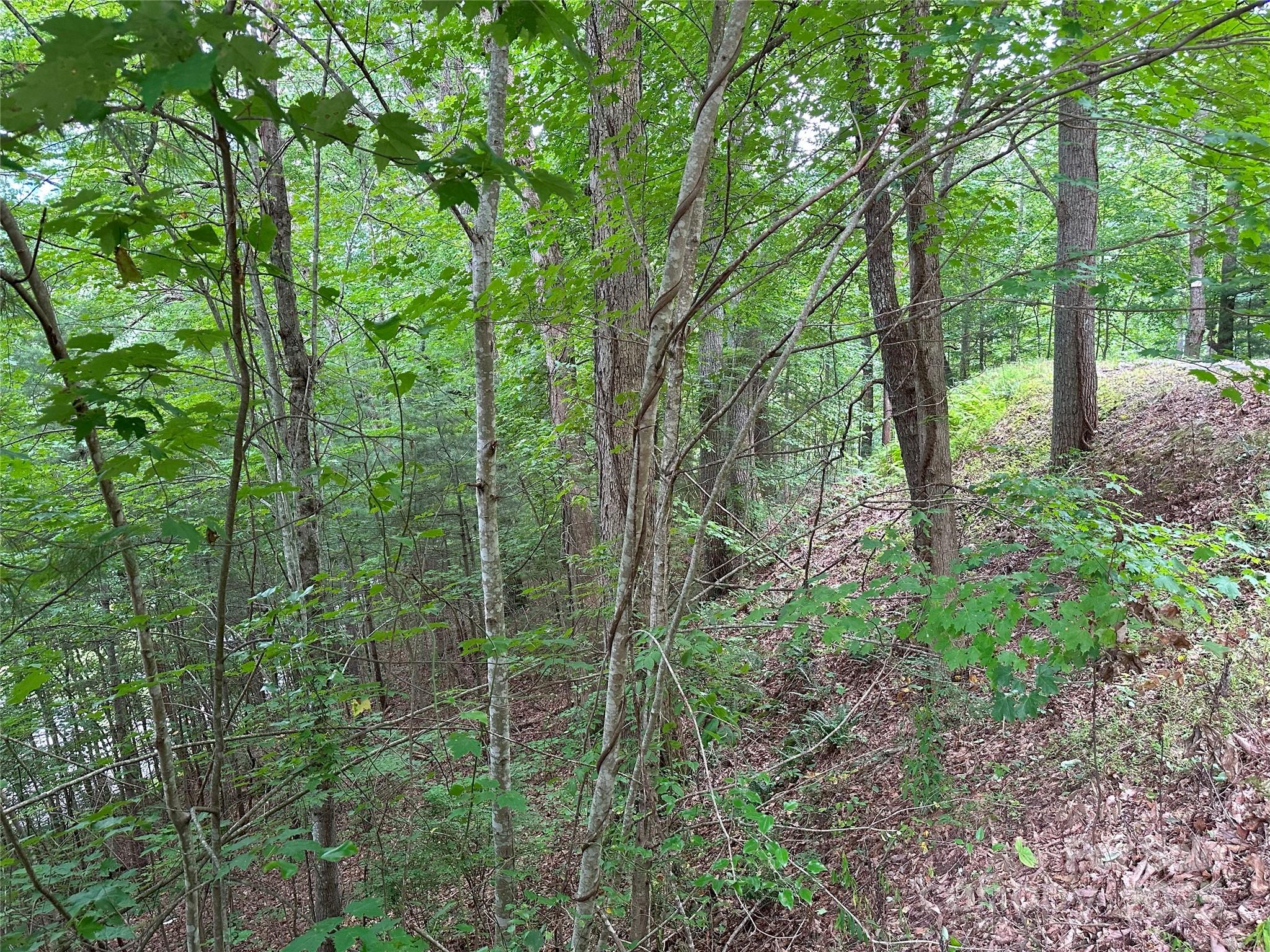Quail Ridge - Land