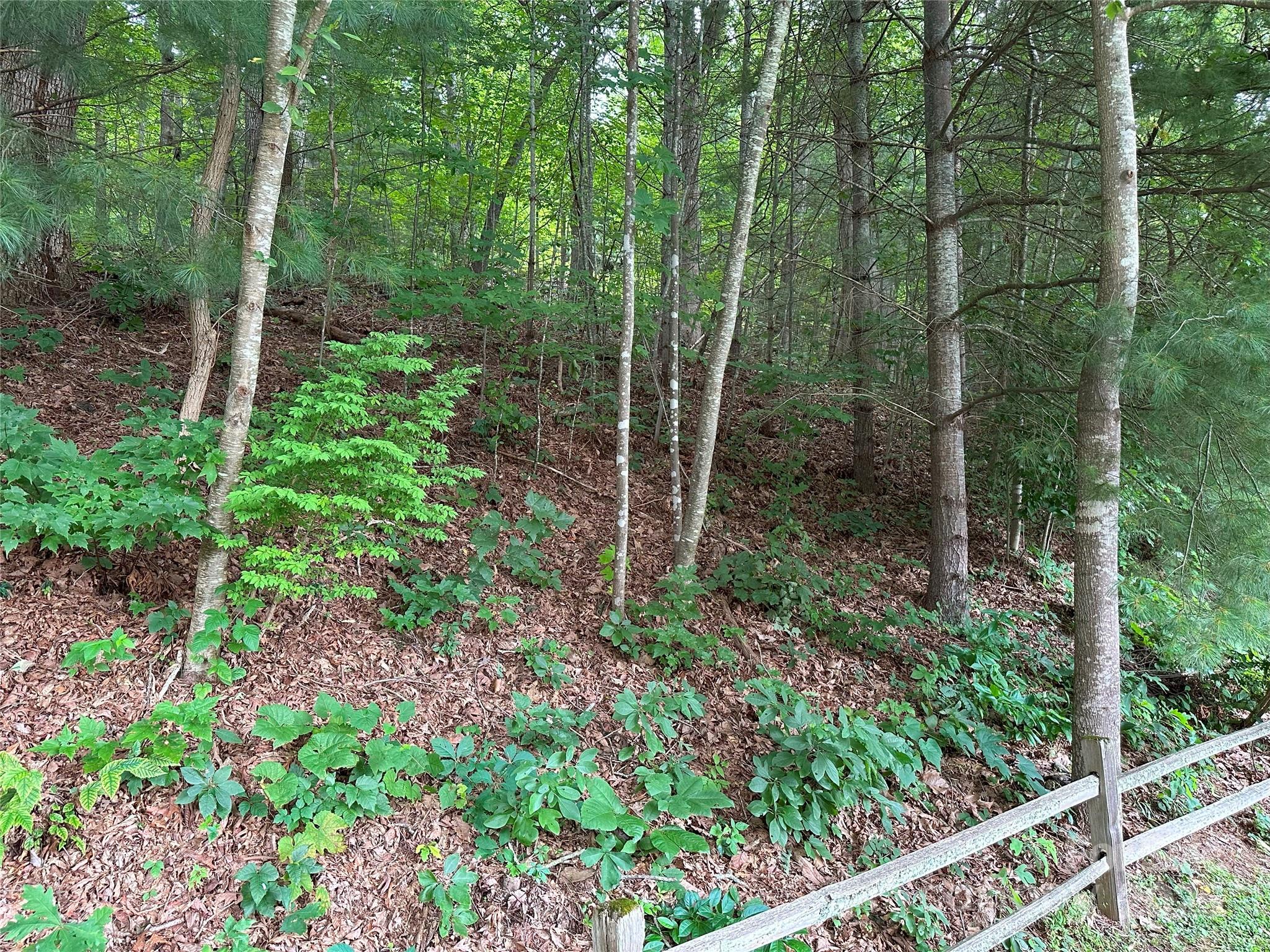 Quail Ridge - Land