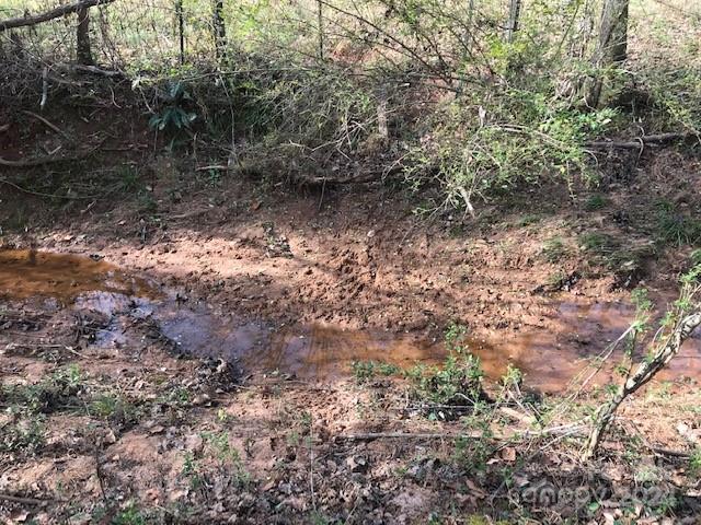 Clearwater Creek - Land