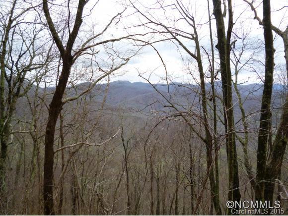 Great views down South Turkey Creek Valley. High elevation. No restrictions. get off the grid. Under 30 minutes from downtown Asheville