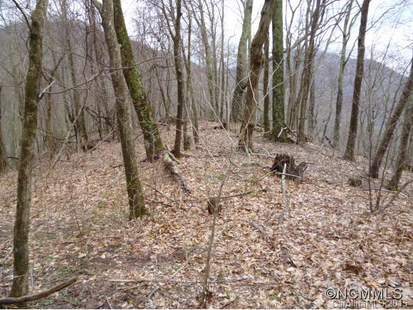 Newfound Gap - Land