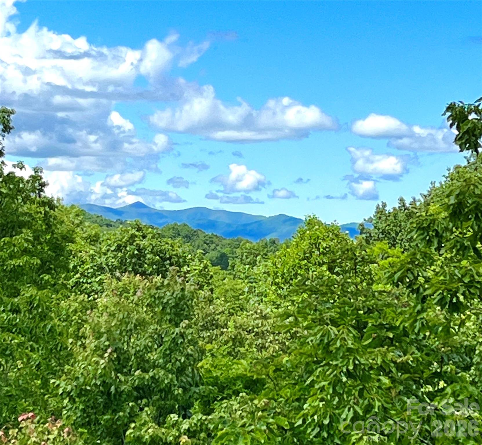 Connestee Falls - Residential