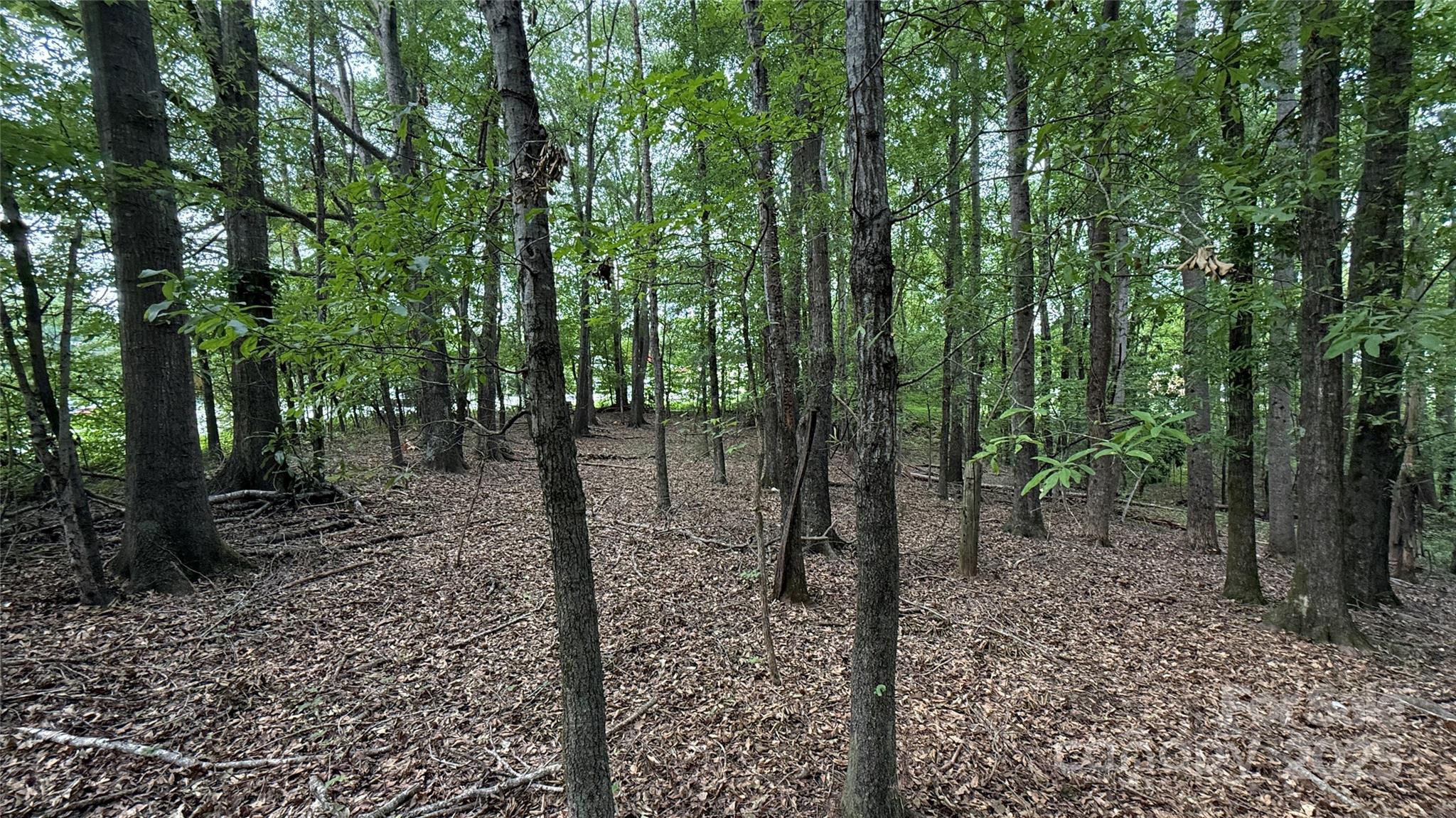 Wooded 2 acres available zoned R15 in Boiling Springs Jurisdiction. Lot has a small creek that runs through it. Wildlife are abundant and set off of the frontage, tucked away behind the Citgo Gas Station/Mart and Turner Trucking lot. There is already a home on the lot next door. The lot slopes gently downward into the center and towards the rear. You can GPS. 226 E College Ave to locate it. The lot sits to the left of the driveway