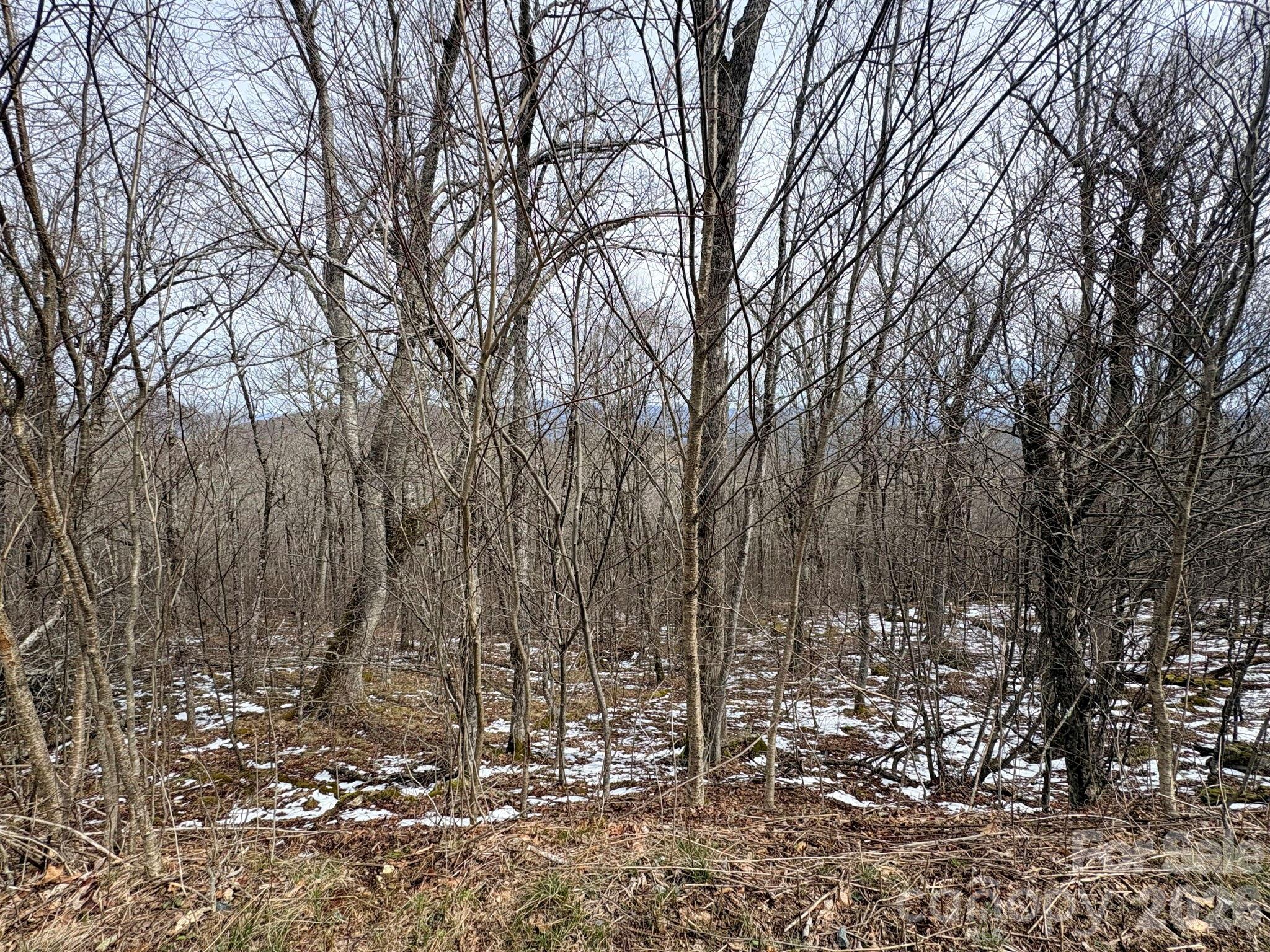 Chappell Farms - Land