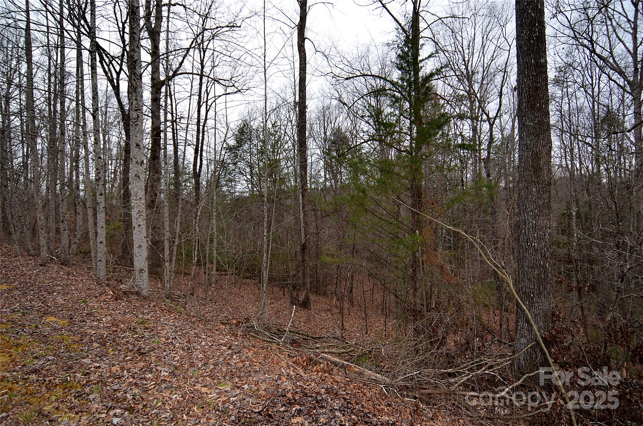 Bent Creek - Land