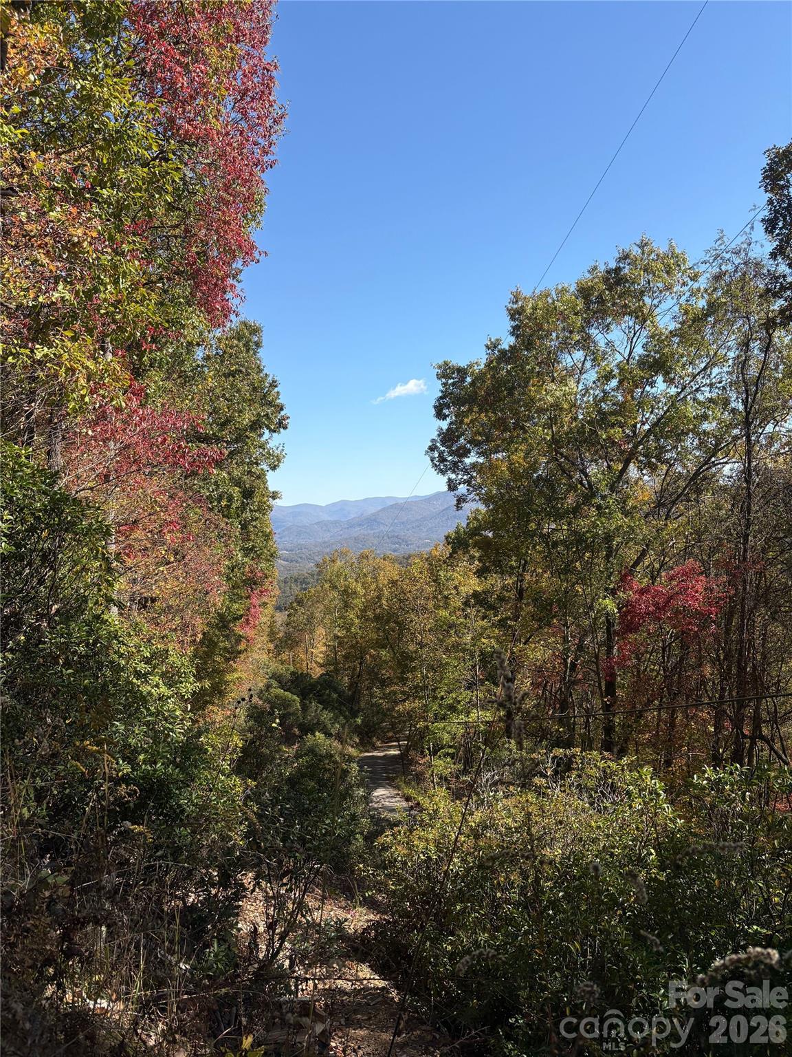 Indian Trail - Land