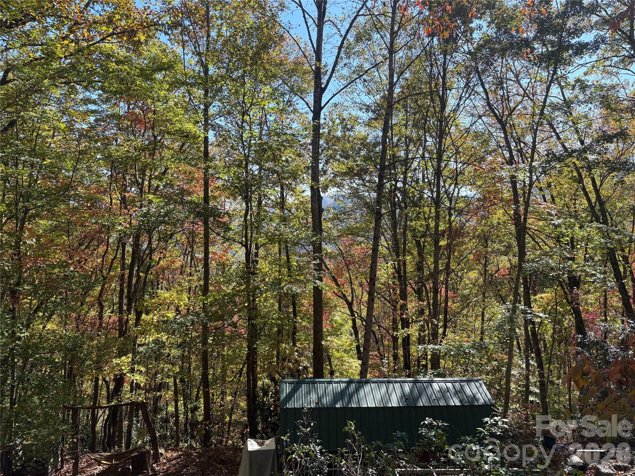 Indian Trail - Land