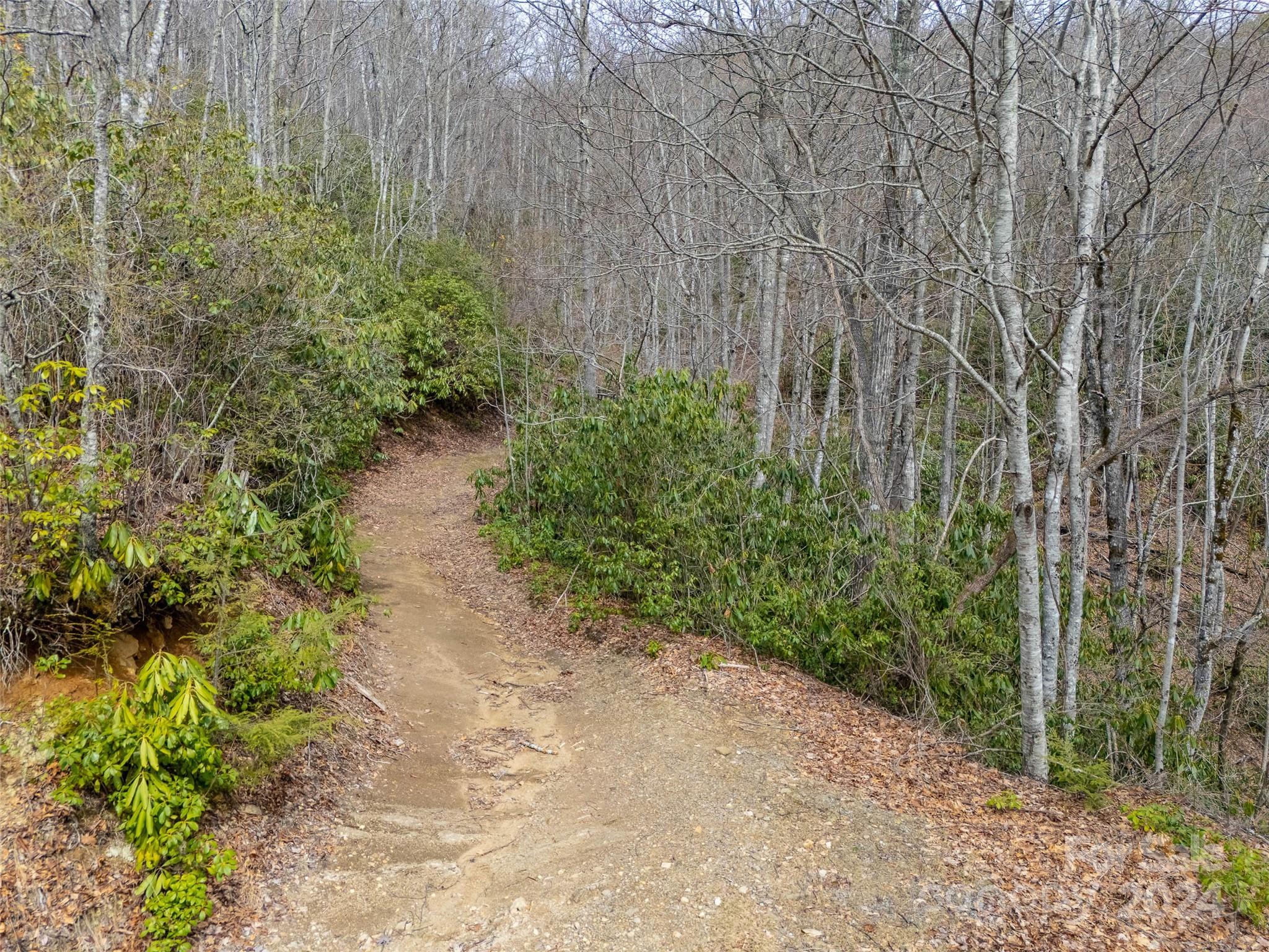 Cranberry Falls - Land