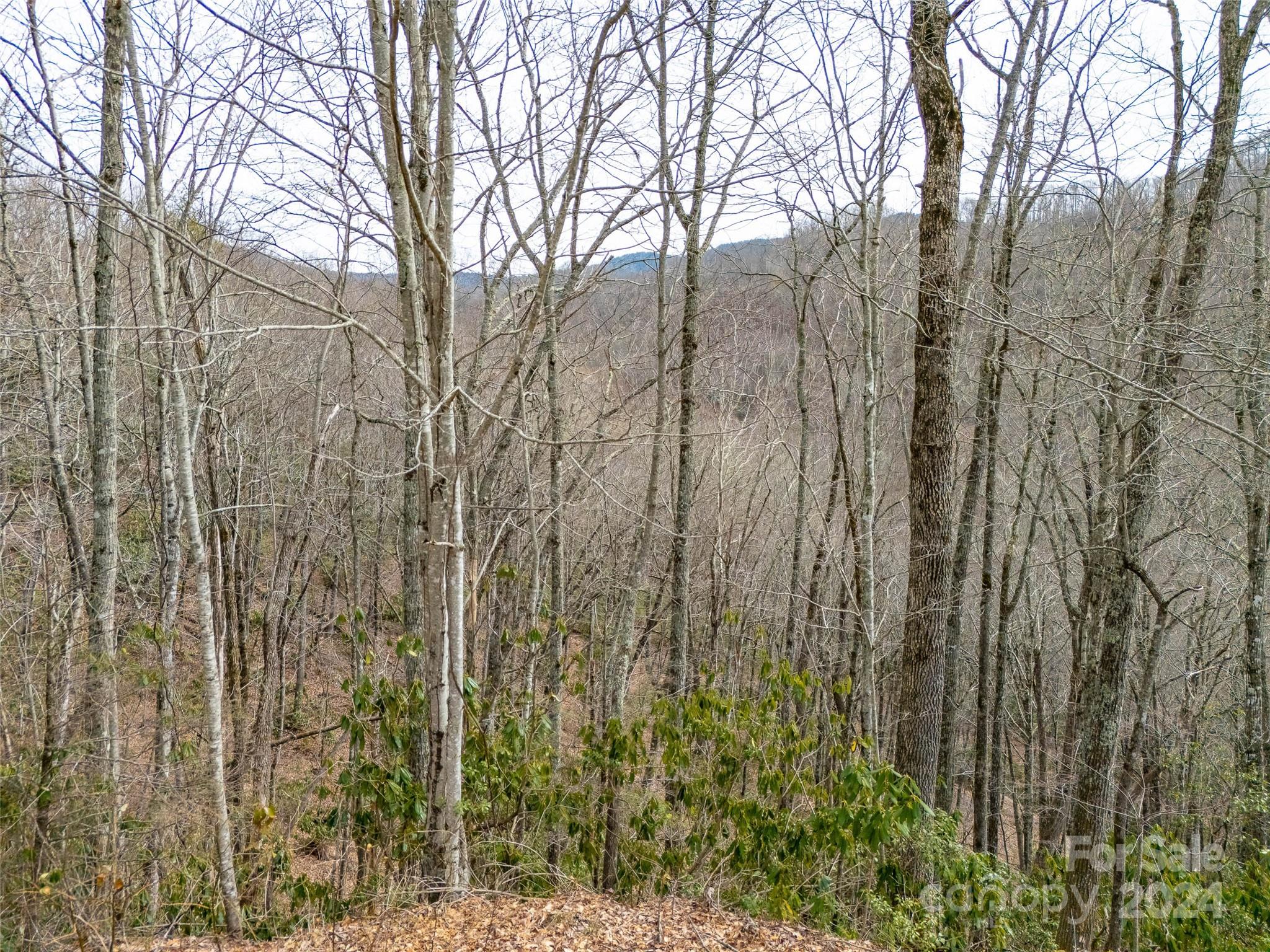 Cranberry Falls - Land