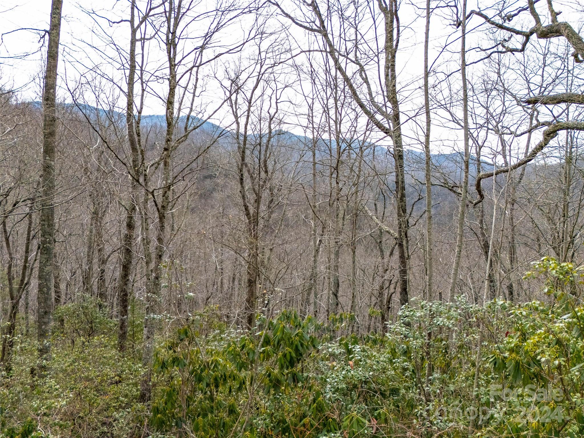 Cranberry Falls - Land