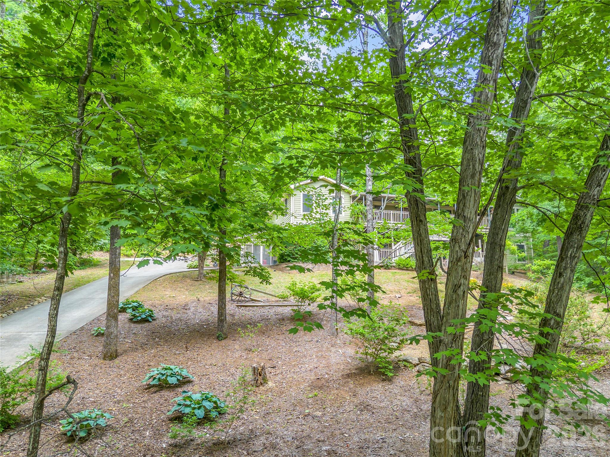 Rumbling Bald on Lake Lure - Residential