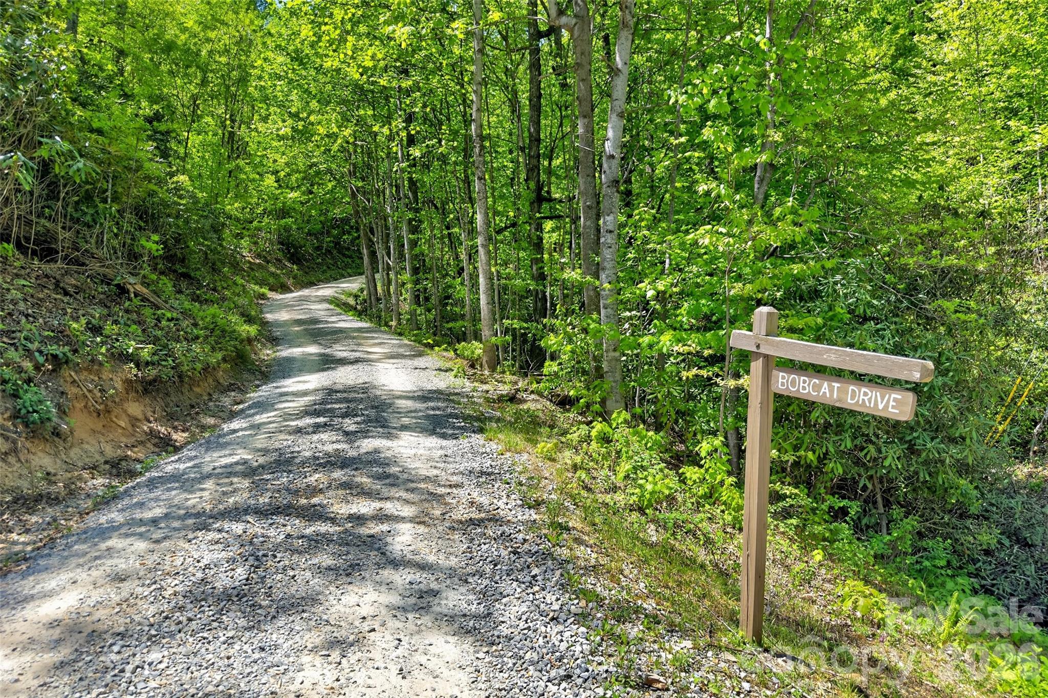 Gateway Mountain - Land